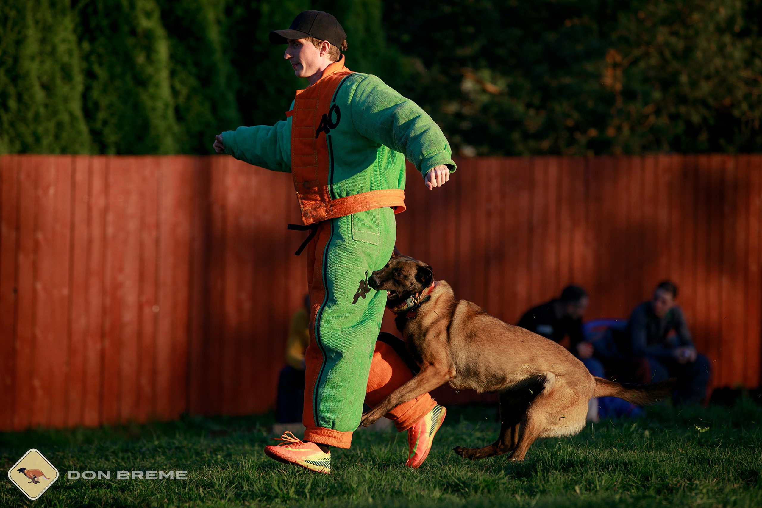 Семинар для фигурантов, день 3. Фотограф-анималист Mary Mart — Москва, Питер