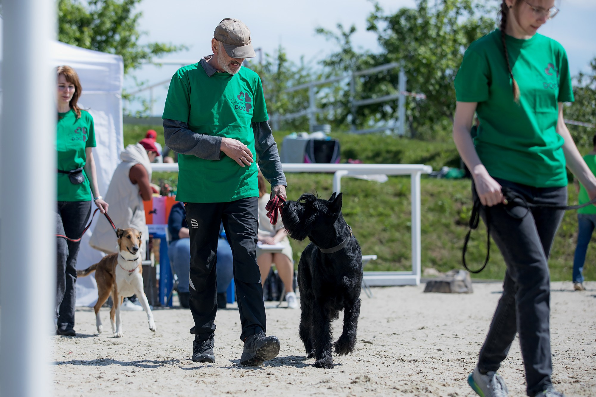 Показательные выступления по NoseWork на выставке «Россия». Фотограф-анималист Mary Mart — Москва, Питер