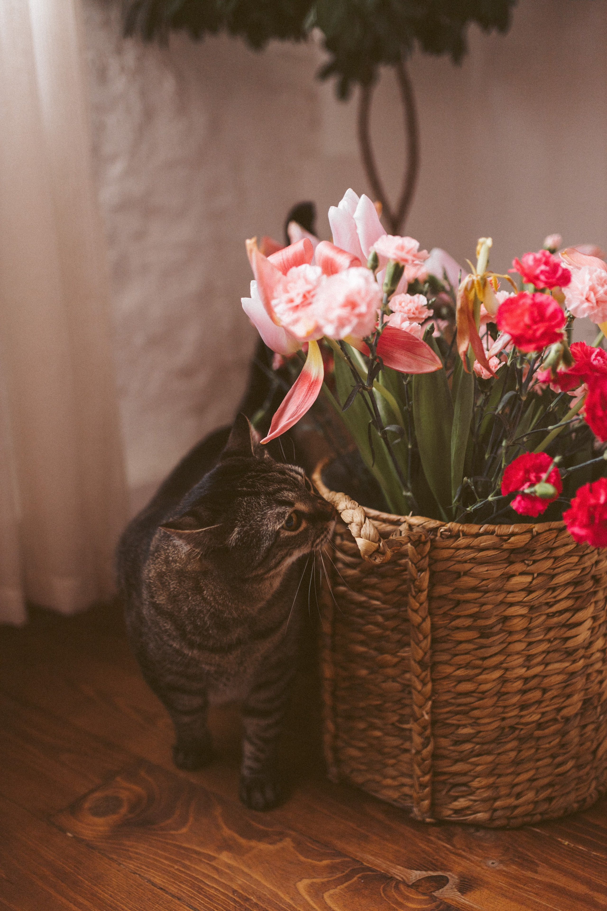 Виктория. Фотограф в Краснодаре Оксана Белецкая