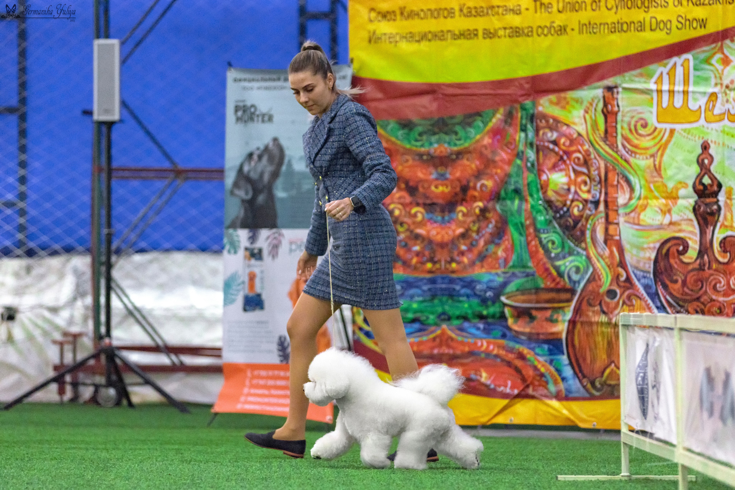 Ташкент 6-8.10.2023 + Алматы 14-15.10.2023. Фотограф-анималист Юлия Германика