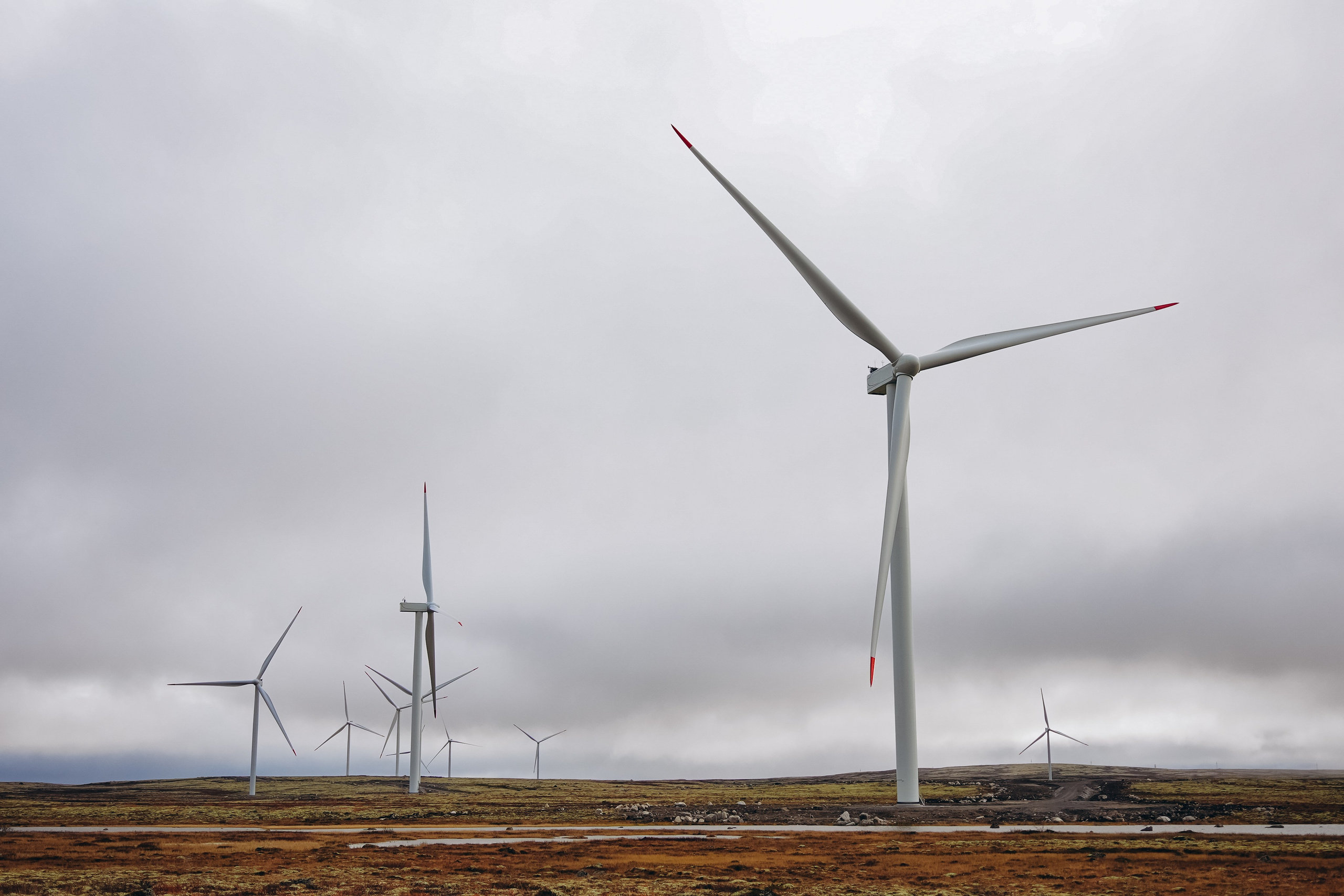 СЕВЕР. Event фотограф Степанова Александра