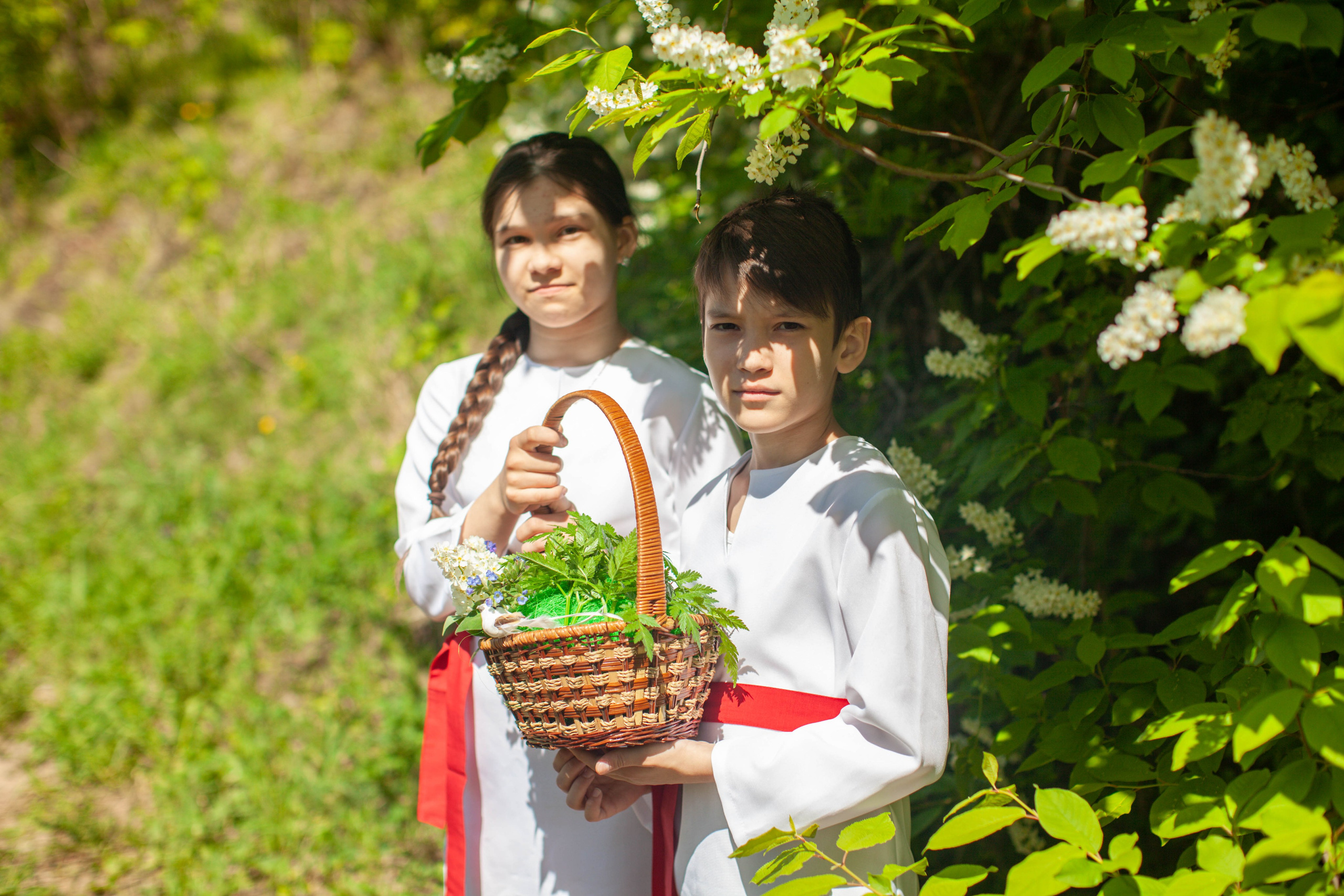 Летний день. Art my Pho