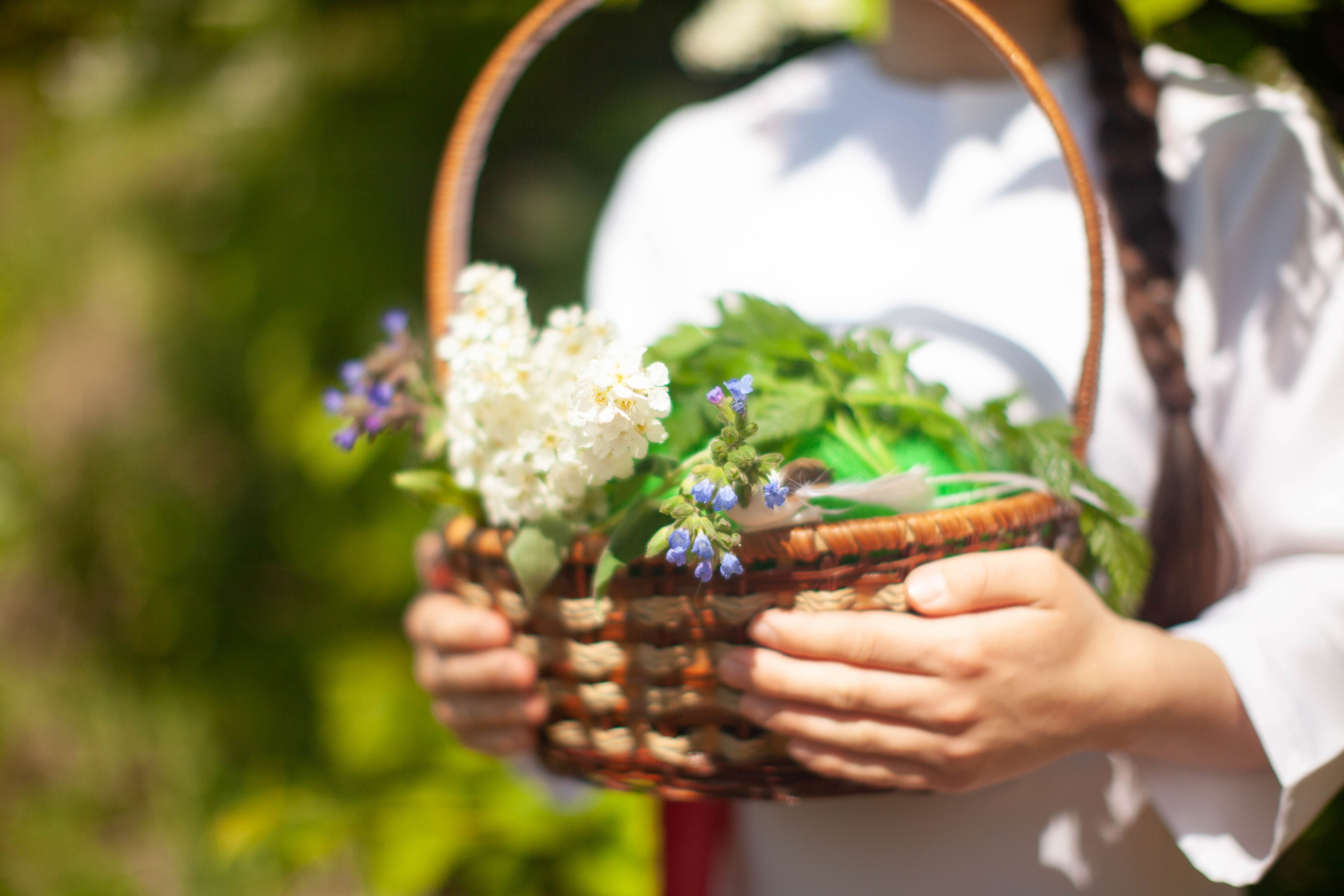 Летний день. Art my Pho