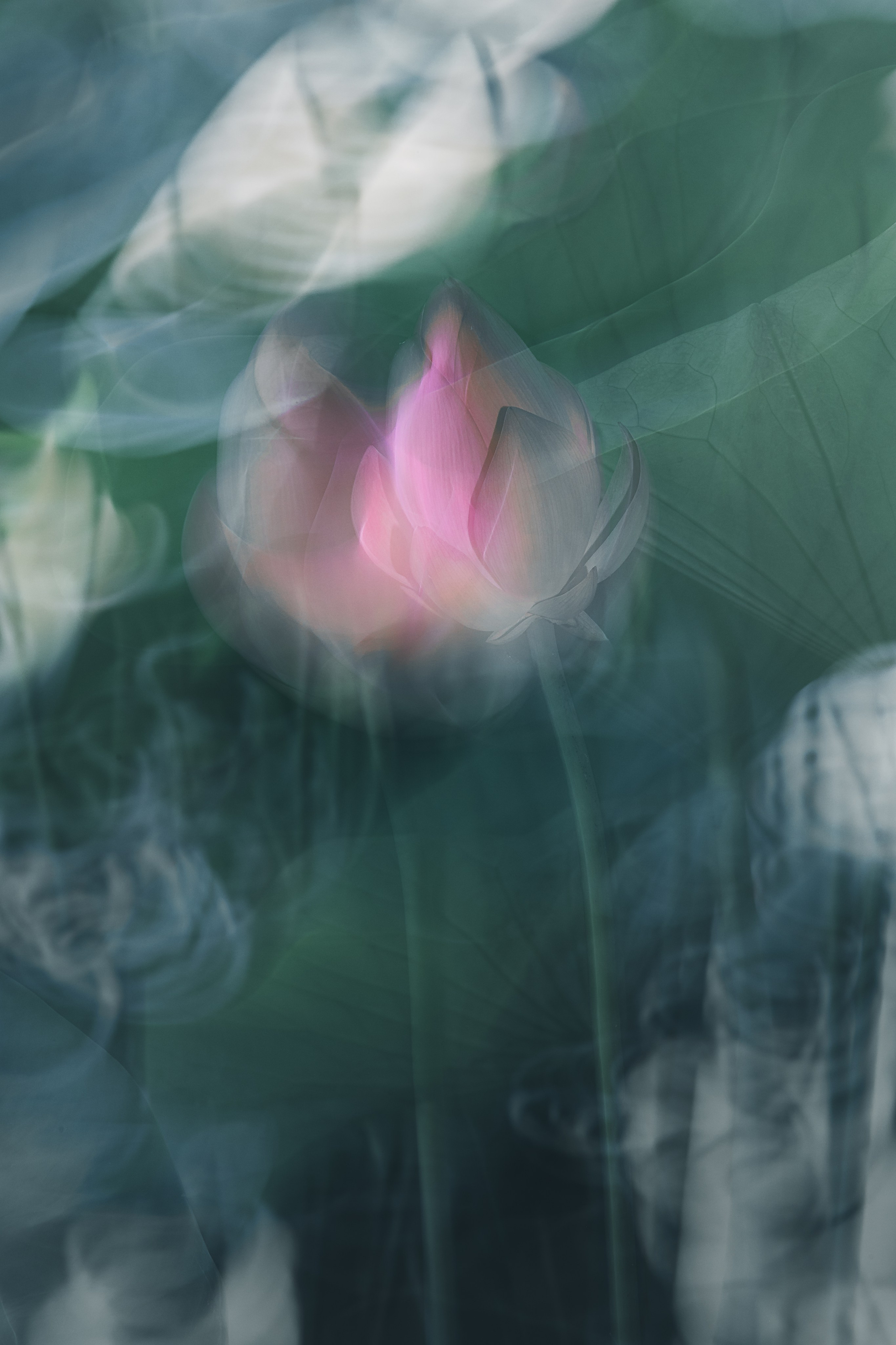 Астраханская область 2025 | Фотограф Дмитрий Купрацевич. Дмитрий Купрацевич профессиональный пейзажный и travel-фотограф