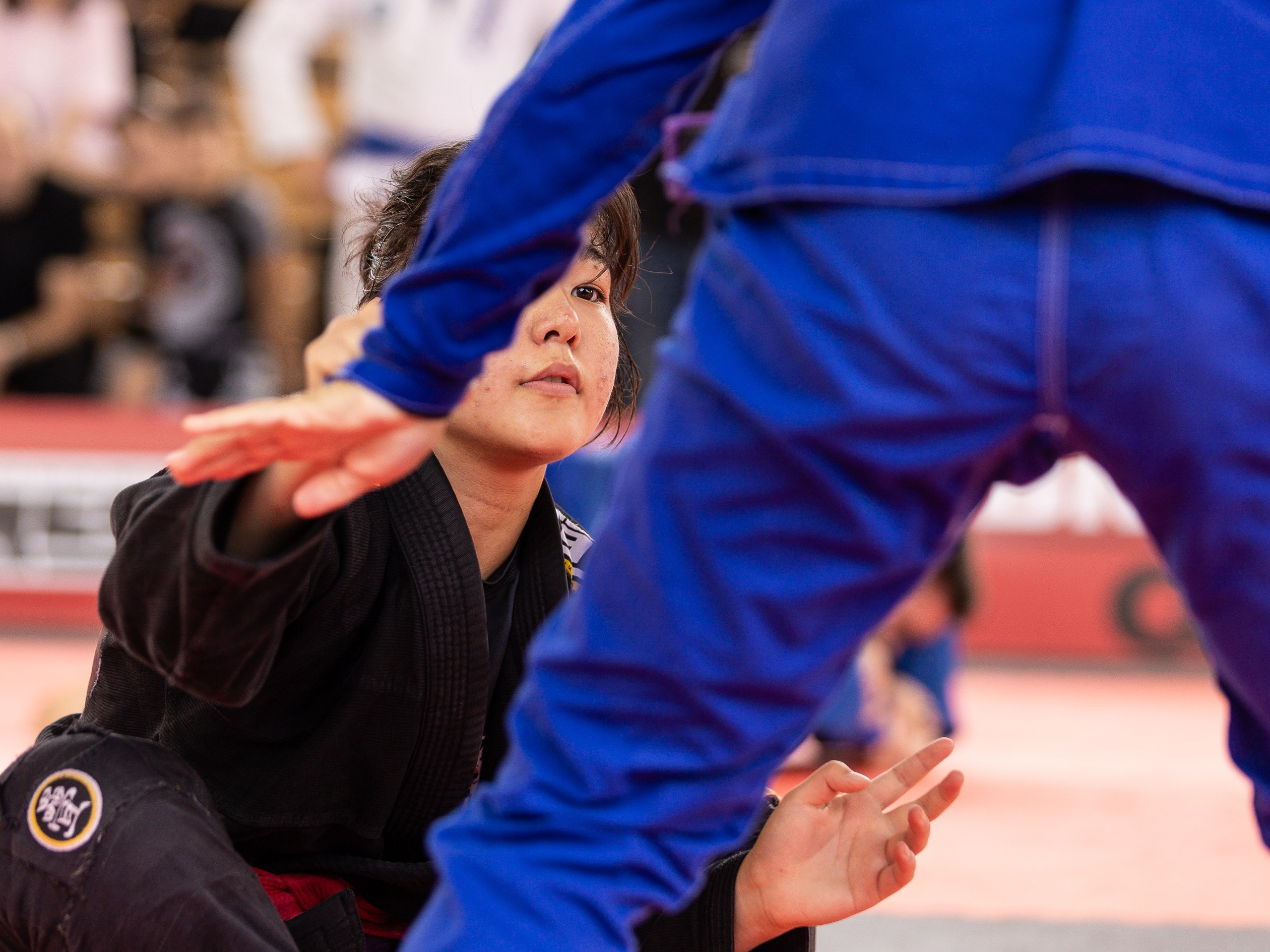 Единоборства. Спортивный фотограф Фёдоров Александр