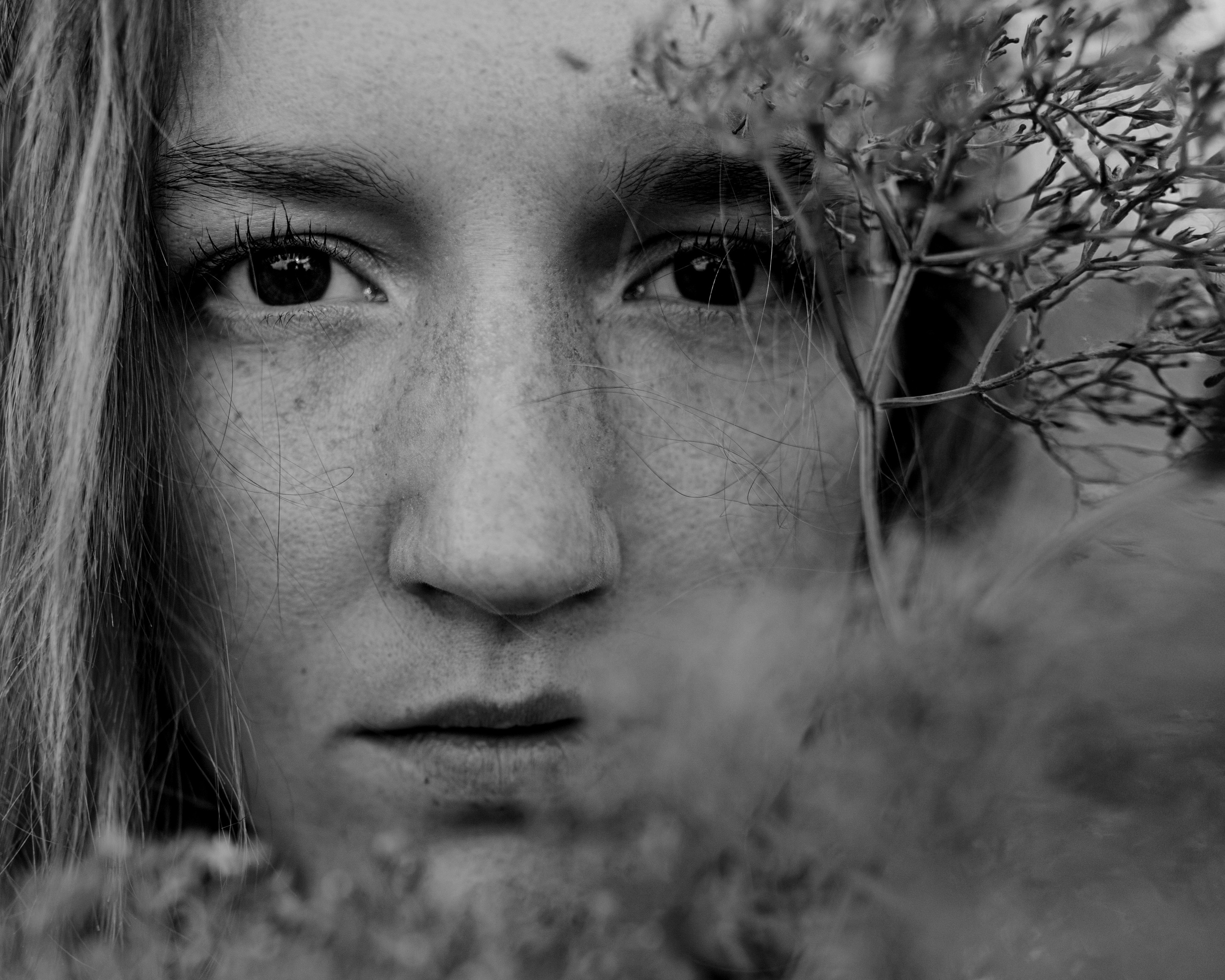 Дерево после грозы. Портретный фотограф Александра Птица. Снимаю истории о вас