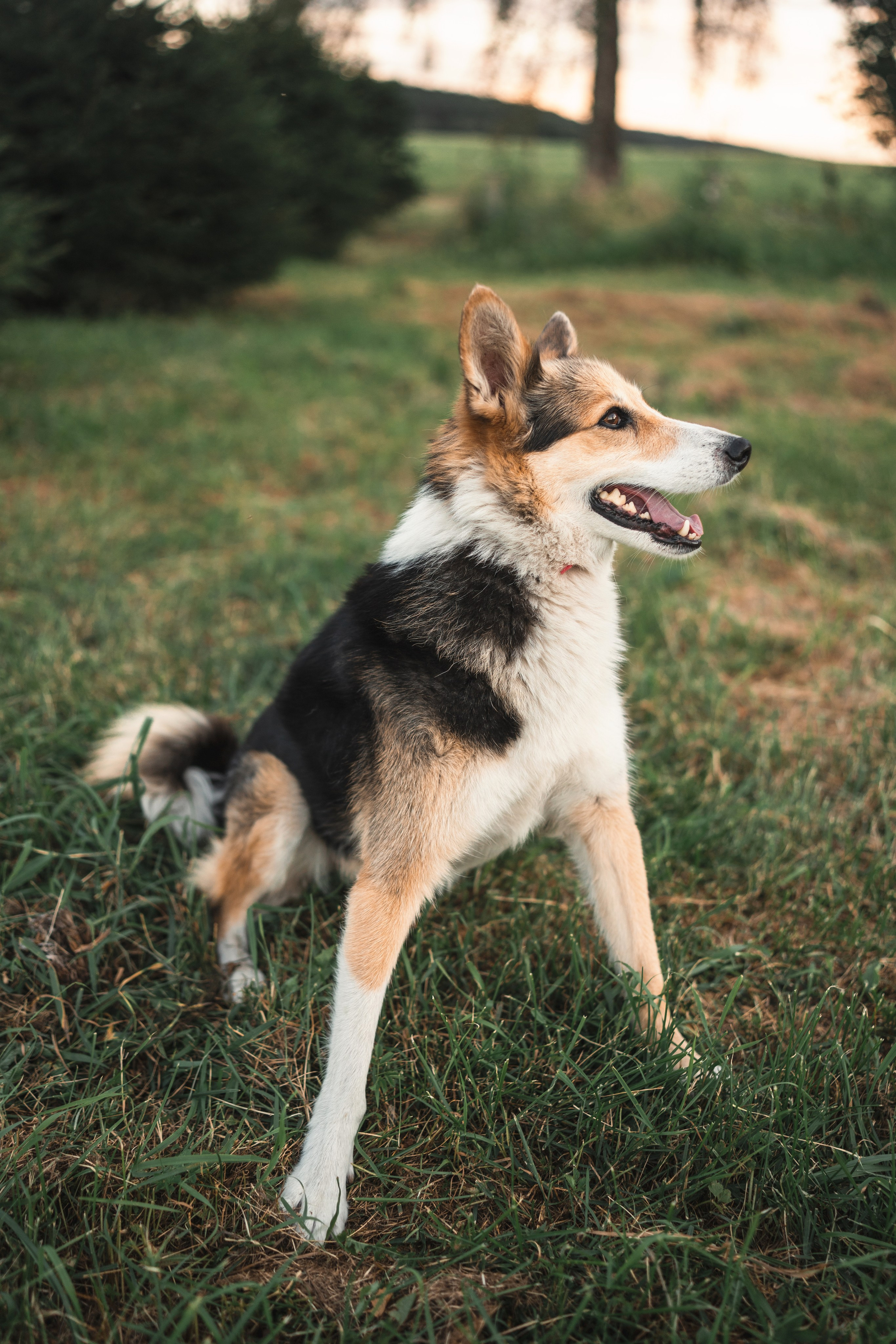 СЪЕМКА НА УЧАСТКЕ. Семья Юлии. Фотограф Марта Козел. Гродно, Беларусь
