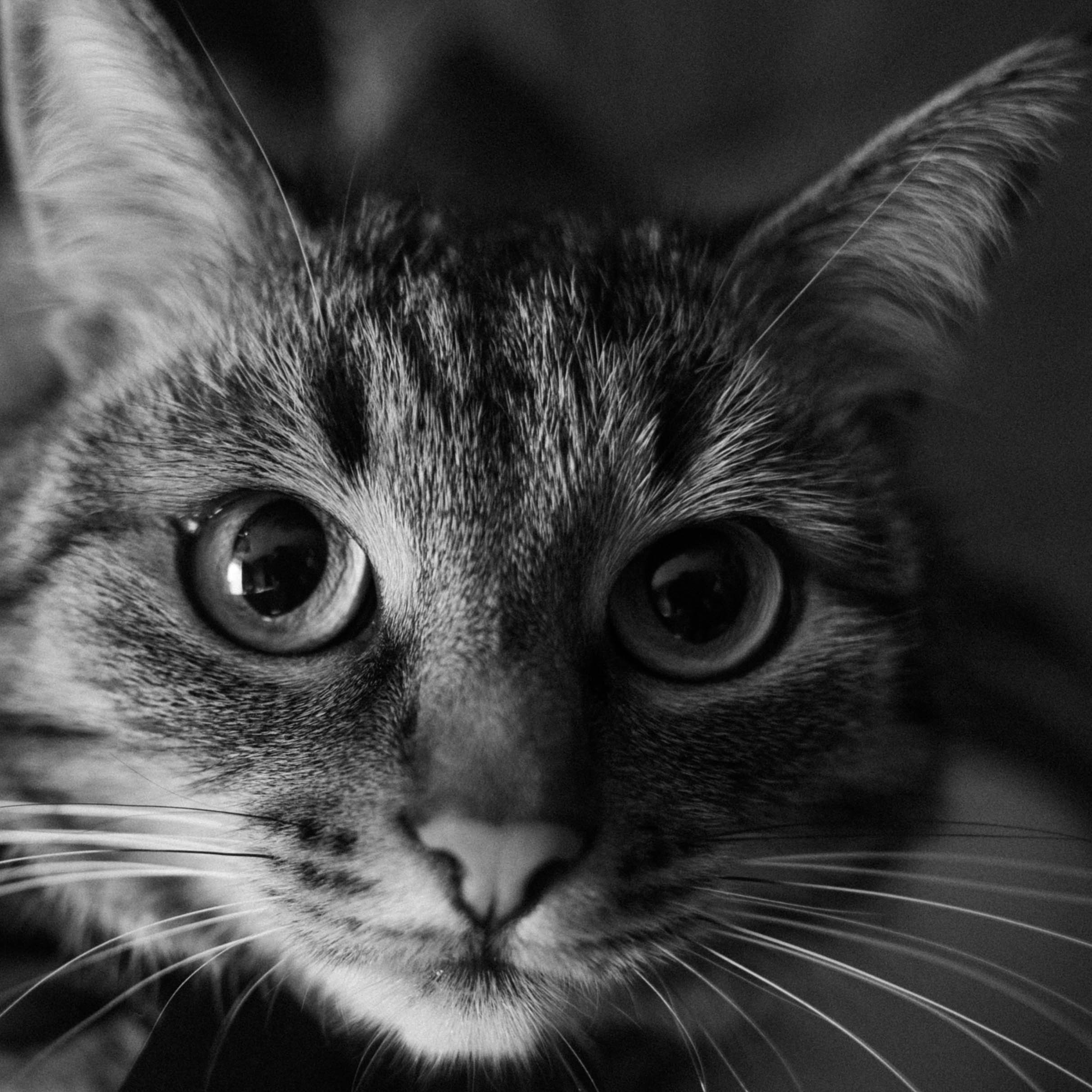 Катя и Максим. Галерея