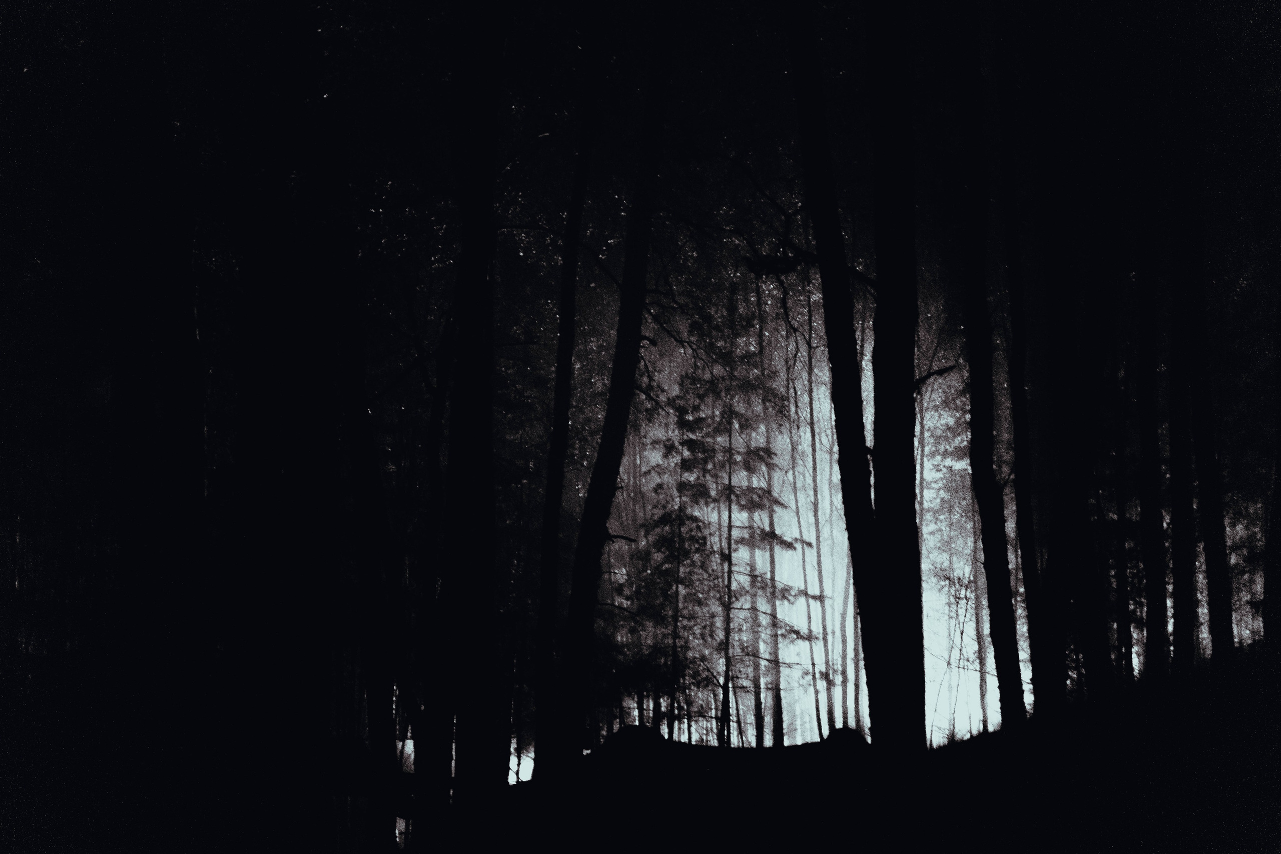 Отряд: эпоха Кометы. Фотограф Аннё| Москва