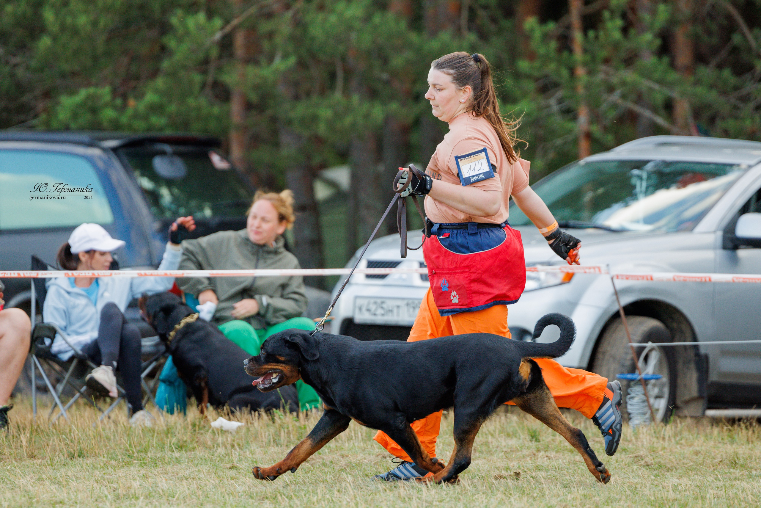 ПК и КЧК ротвейлеры Тверь 6-7.07.2024. Фотограф-анималист Юлия Германика