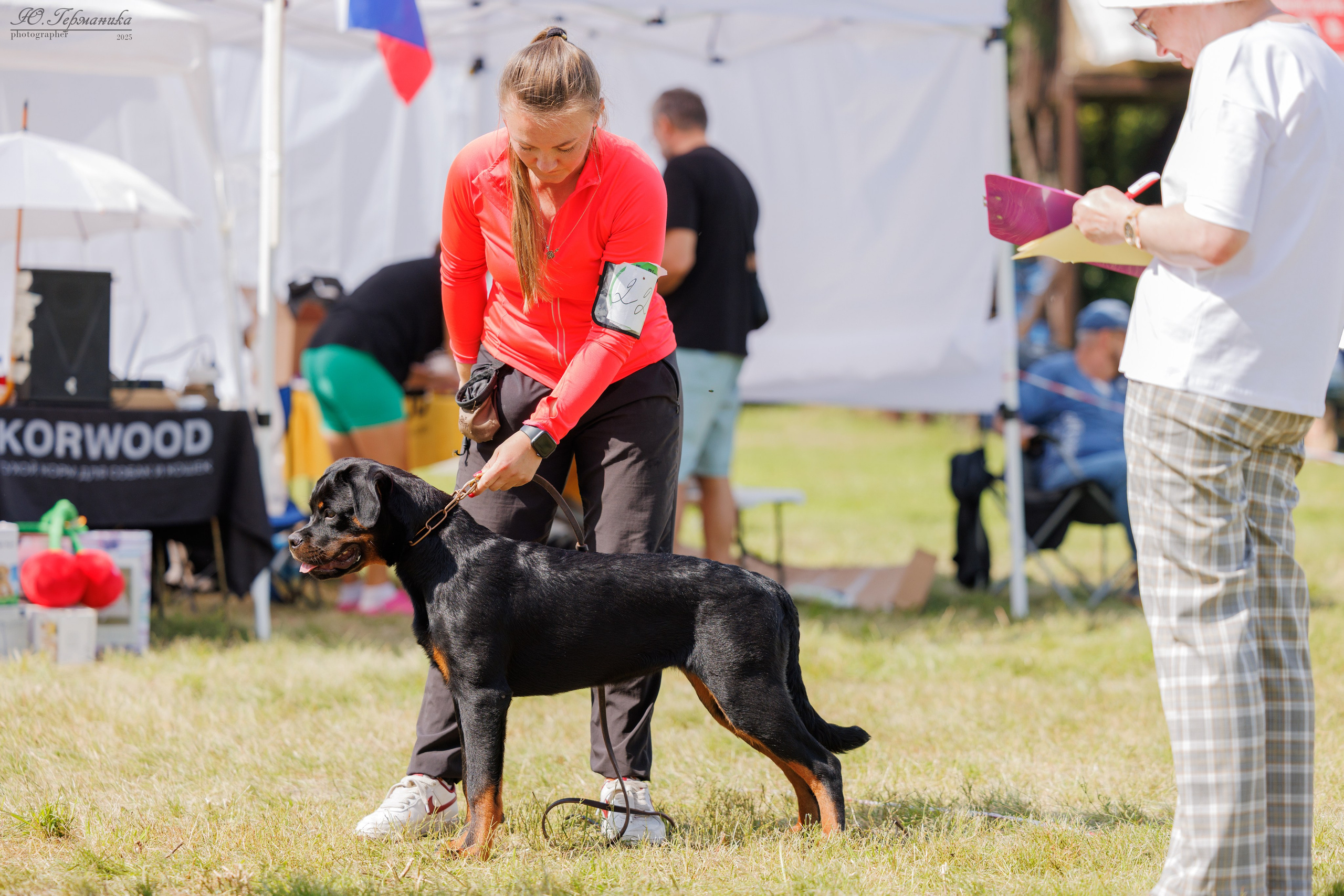 Рязань 2хмоно ротвейлеры 16-17.08.2025. Фотограф-анималист Юлия Германика