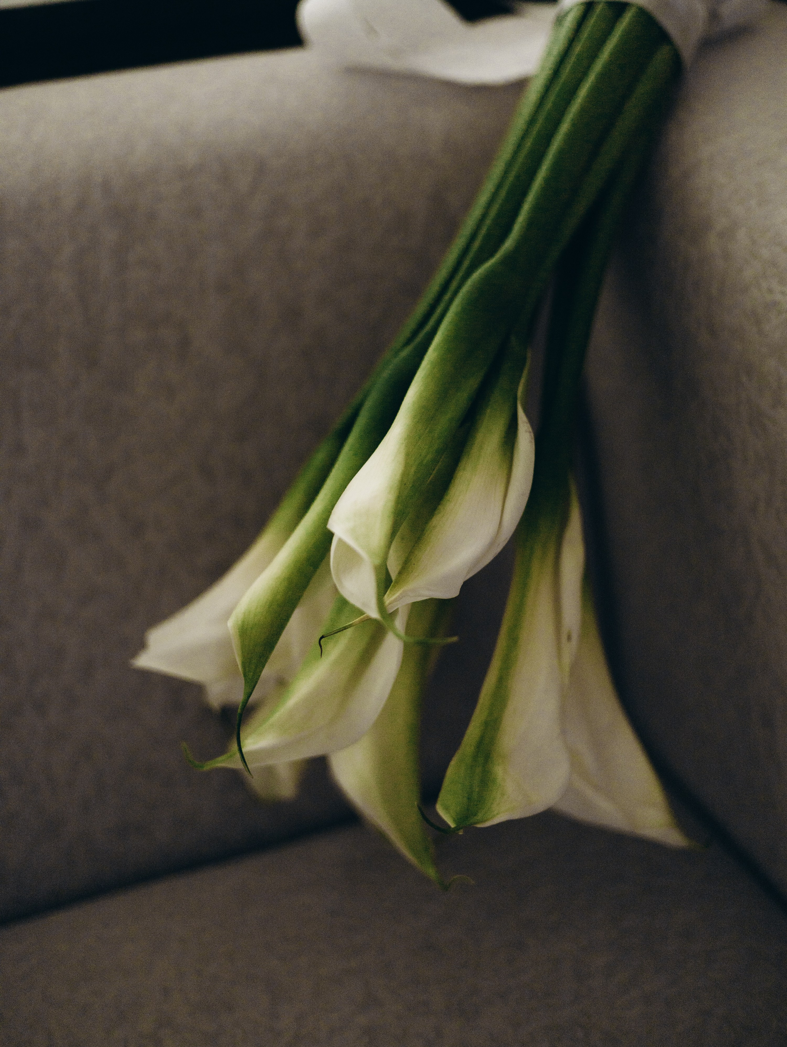 Ангелина и Никита. Свадебный и репортажный фотограф в Москве