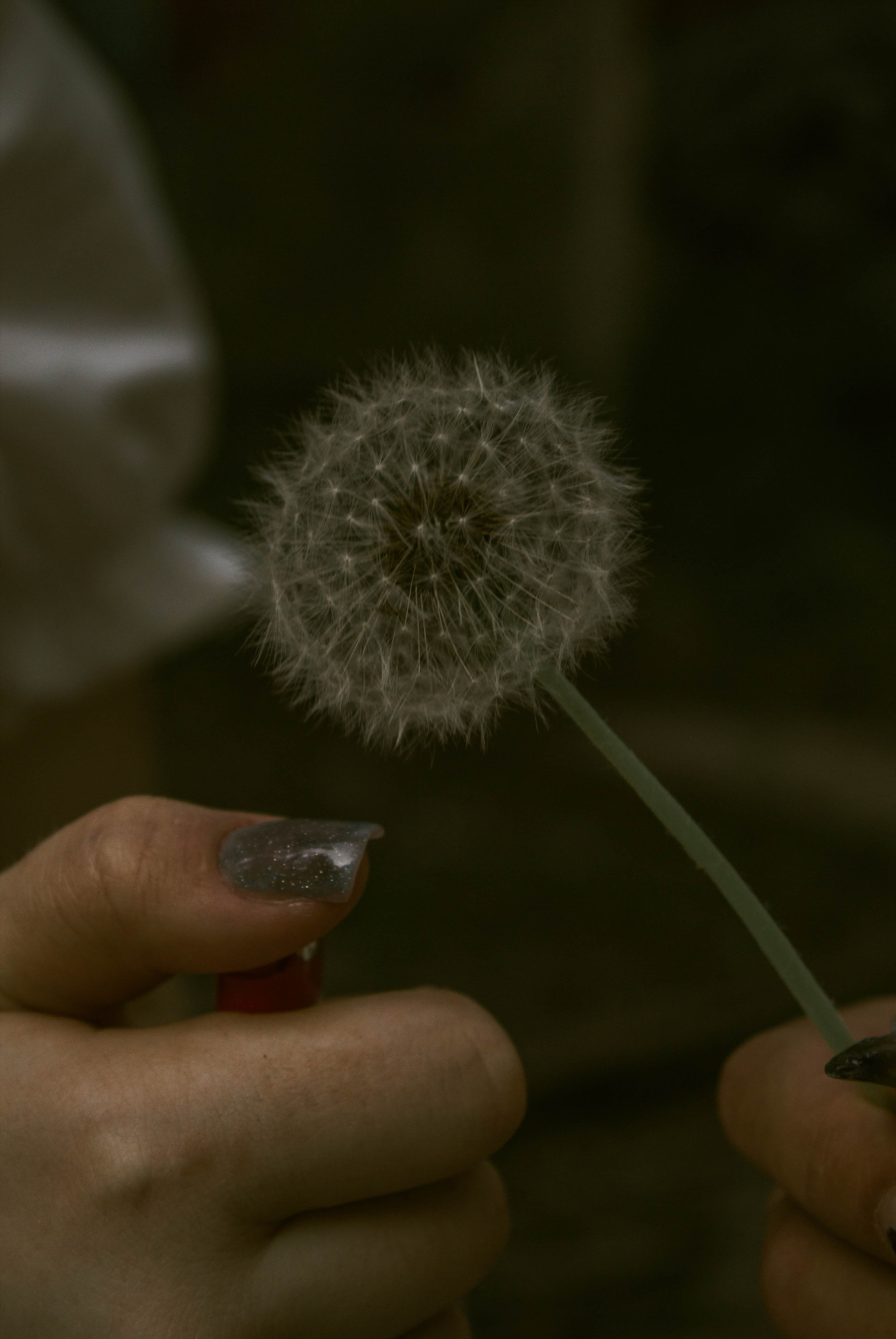 «Без названия»