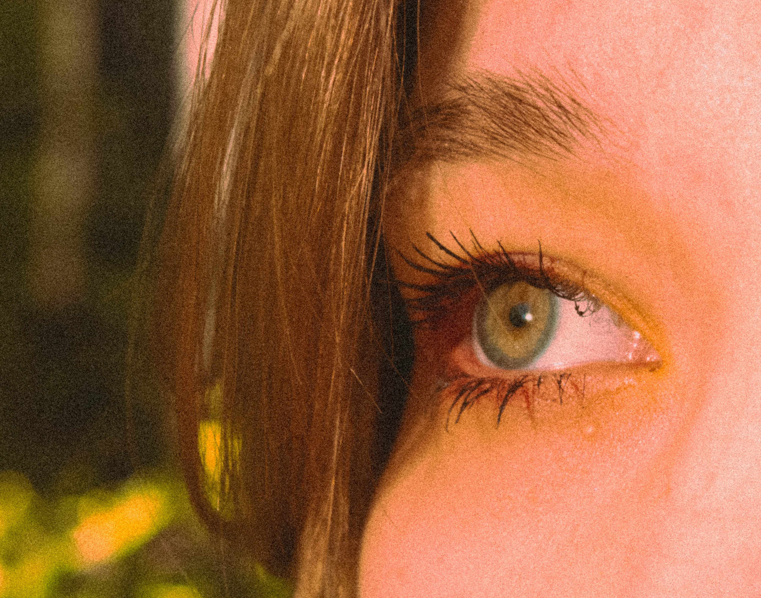 «Без названия»