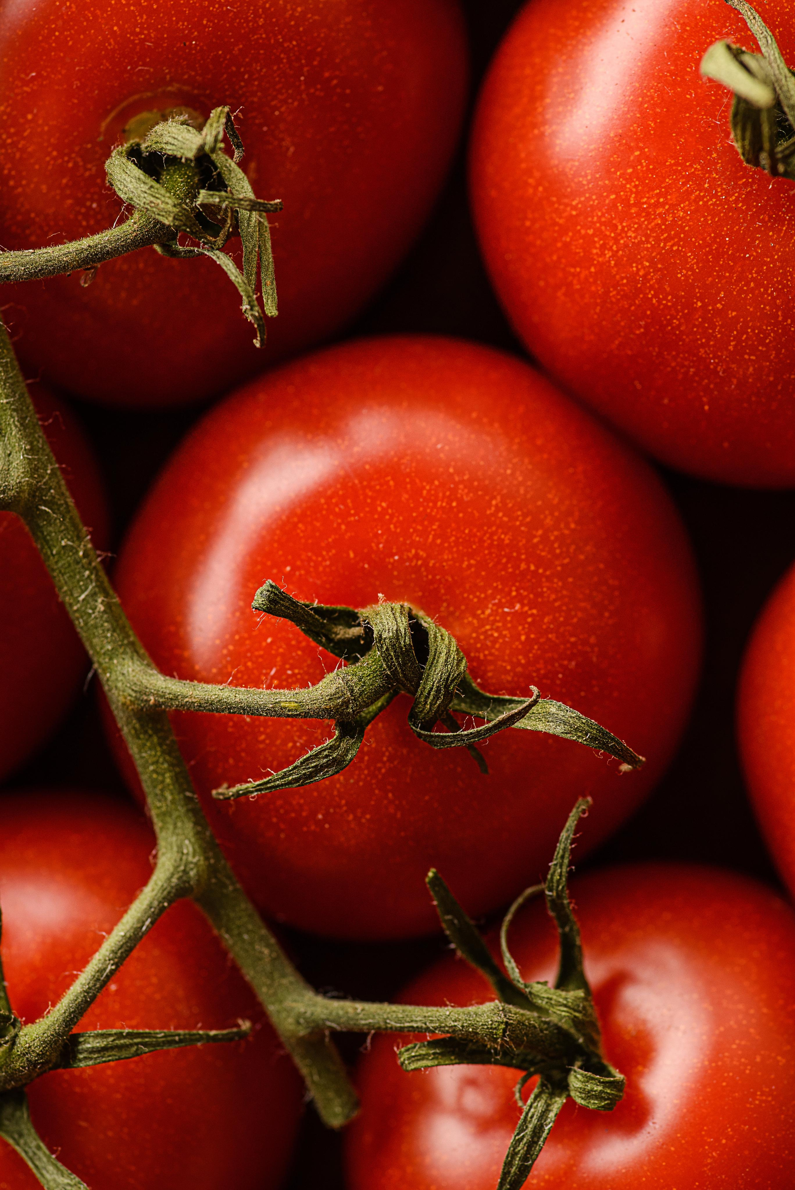 Фотосессия для маркетплейсов. Food photographer Moscow, shooting food and menu