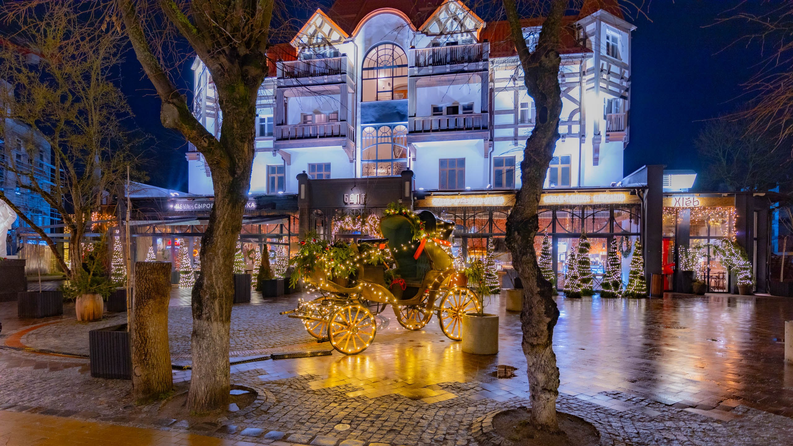 2024 01 Калининград (Светлогорск, Зеленоградск). Фотографии