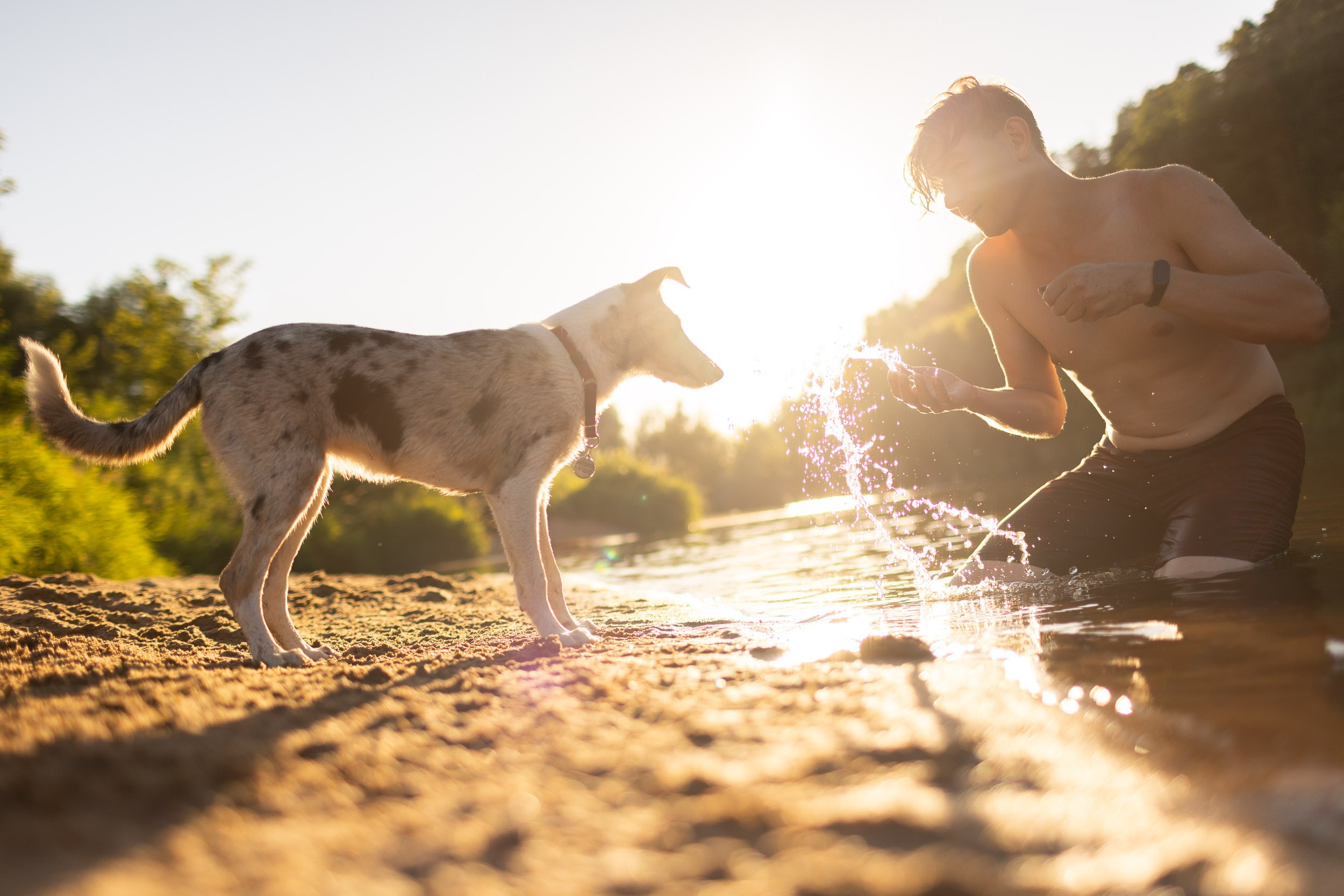 Купание щенков в стиле лайфстайл. Фотограф-анималист в Москве и Московской области Татьяна Фролова
