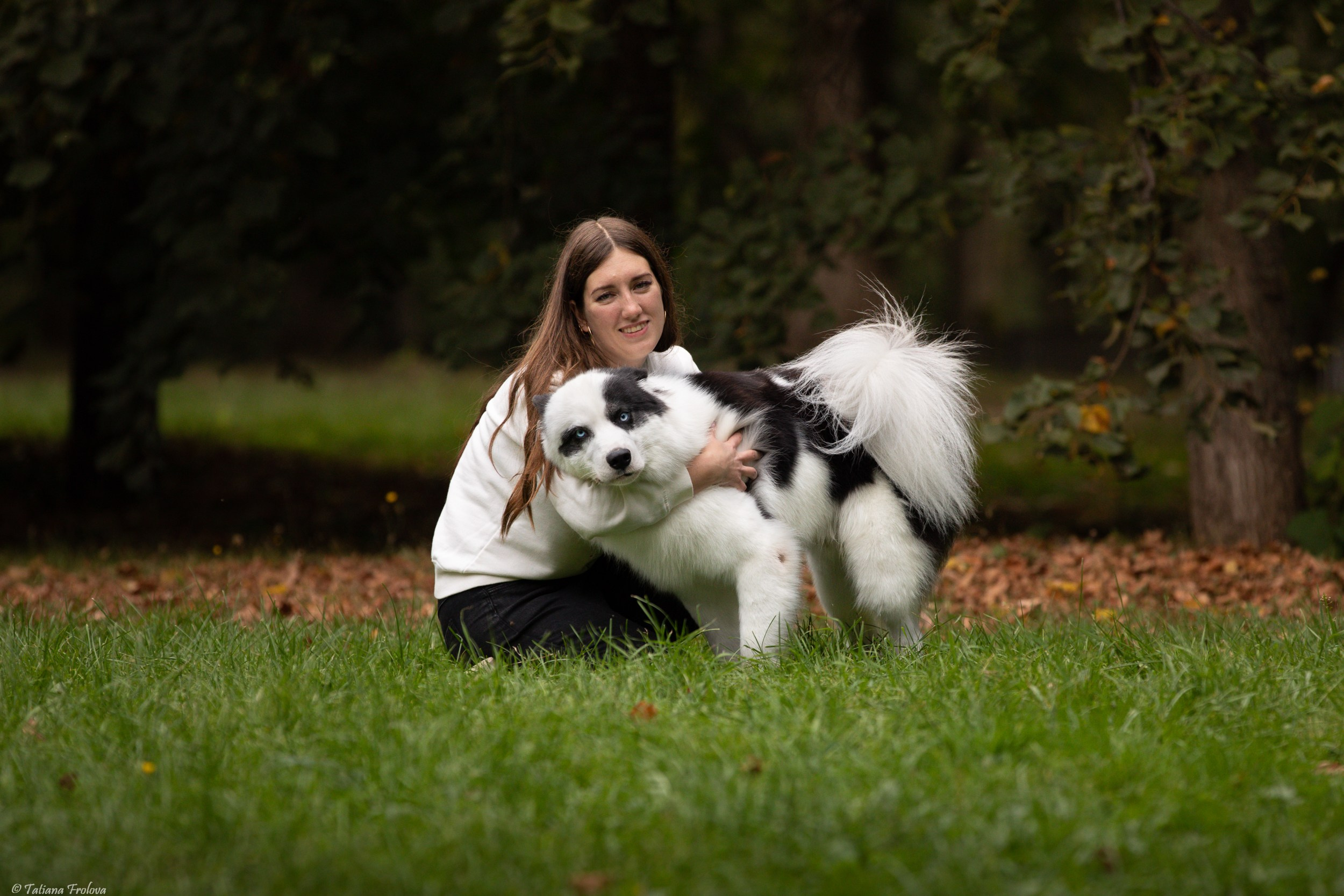 Небольшая фотосессия в Москве после выставки собак. Фотограф-анималист в Москве и Московской области Татьяна Фролова