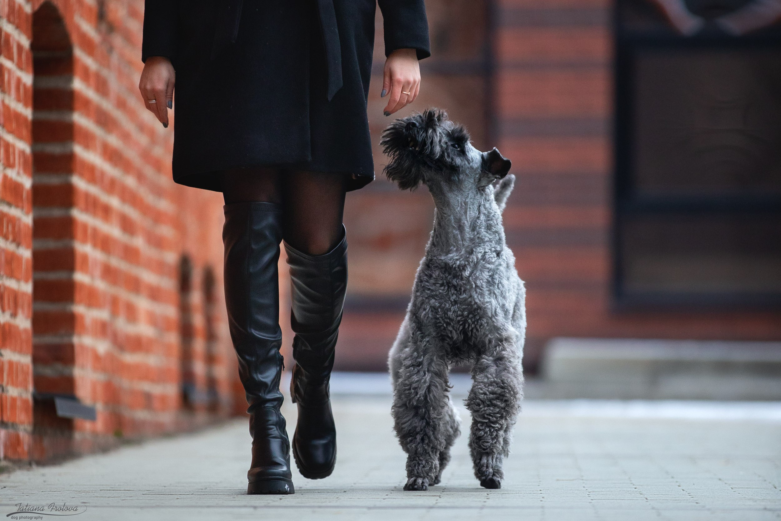 Городская съемка в стиле лайфстайл. Фотограф-анималист в Москве и Московской области Татьяна Фролова