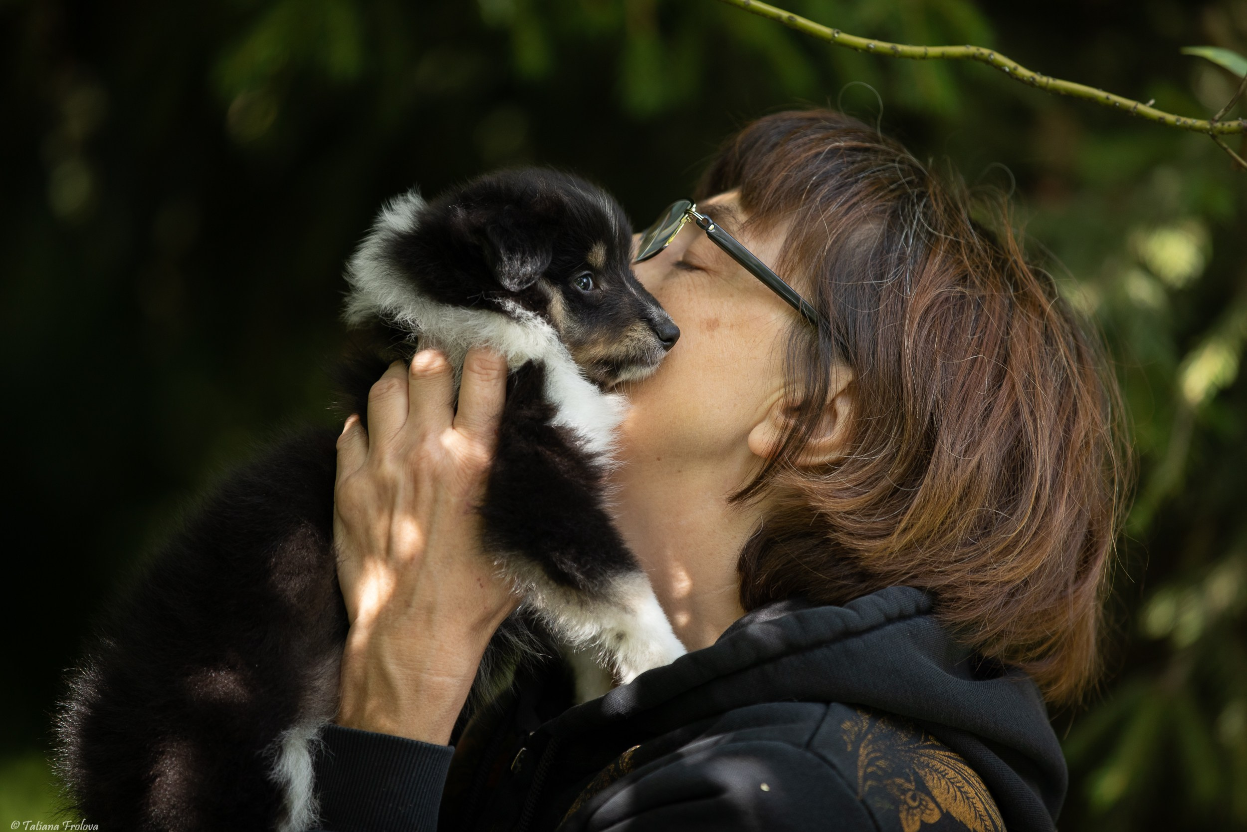 Фото помета щенков для продажи. Фотограф-анималист в Москве и Московской области Татьяна Фролова