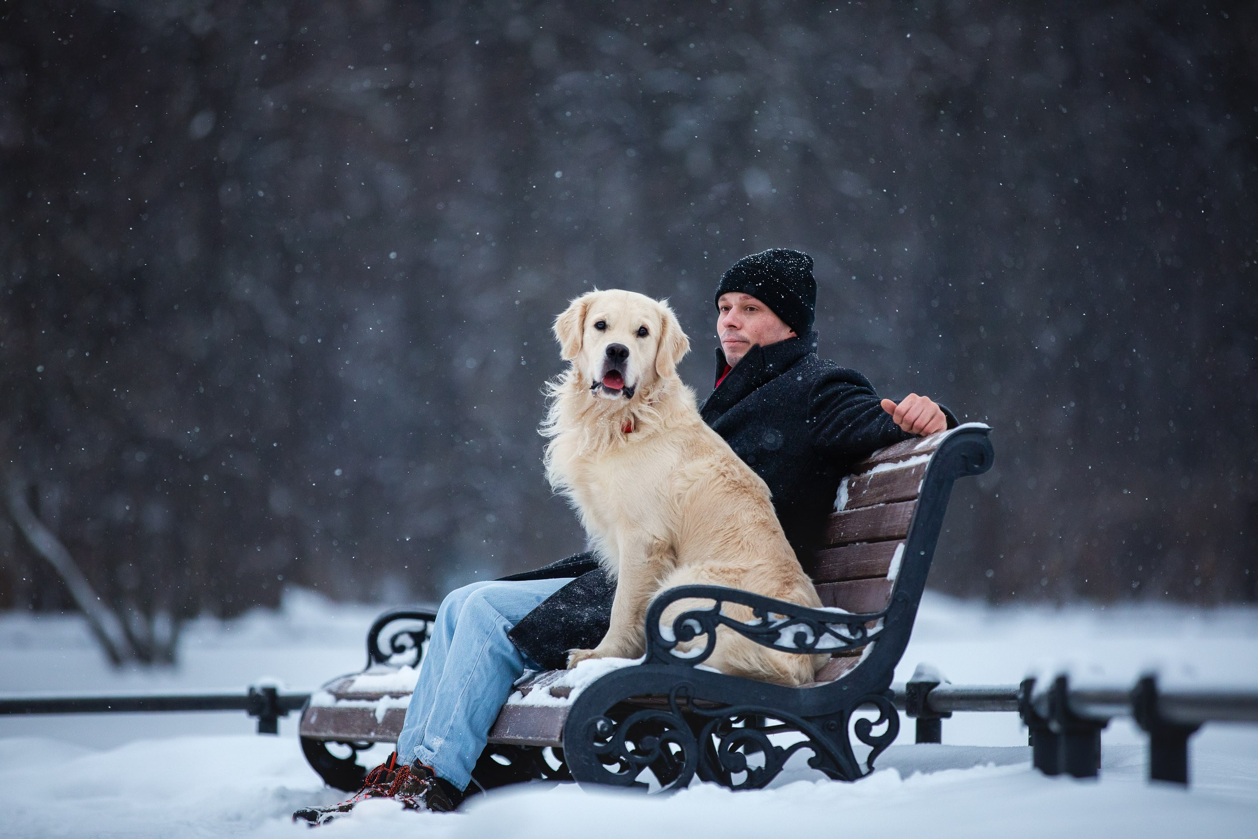 Фотосессия хозяина и ретривера. Фотограф-анималист в Москве и Московской области Татьяна Фролова
