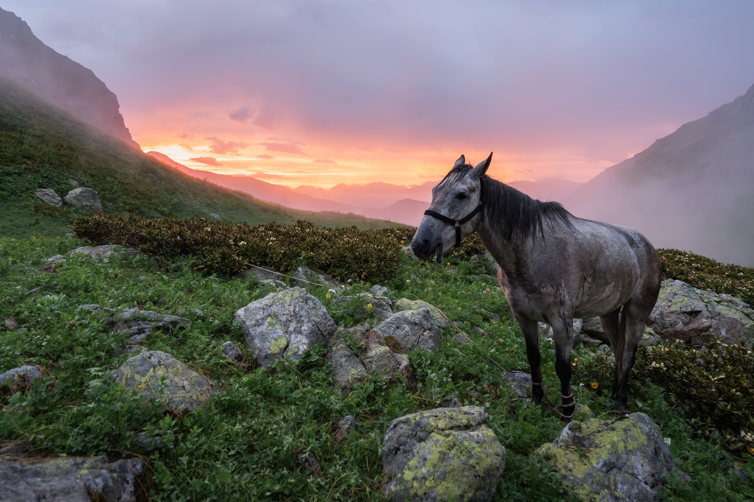 Кавказ. Gusarov Travel Photography