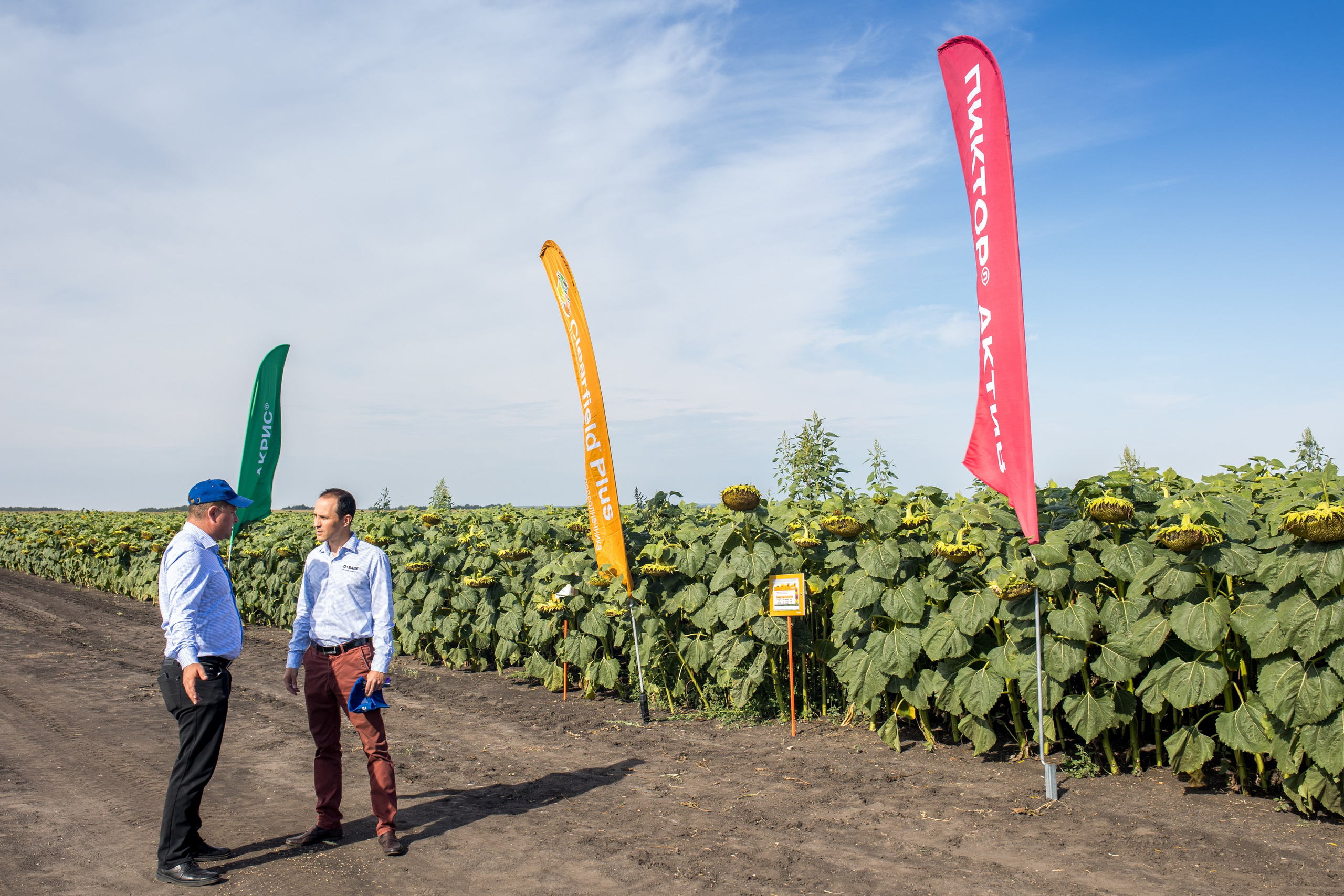 Решения для сельского хозяйства BASF 16.08.2022. Владислав Волков | Фотография и видеосъемка в Воронеже