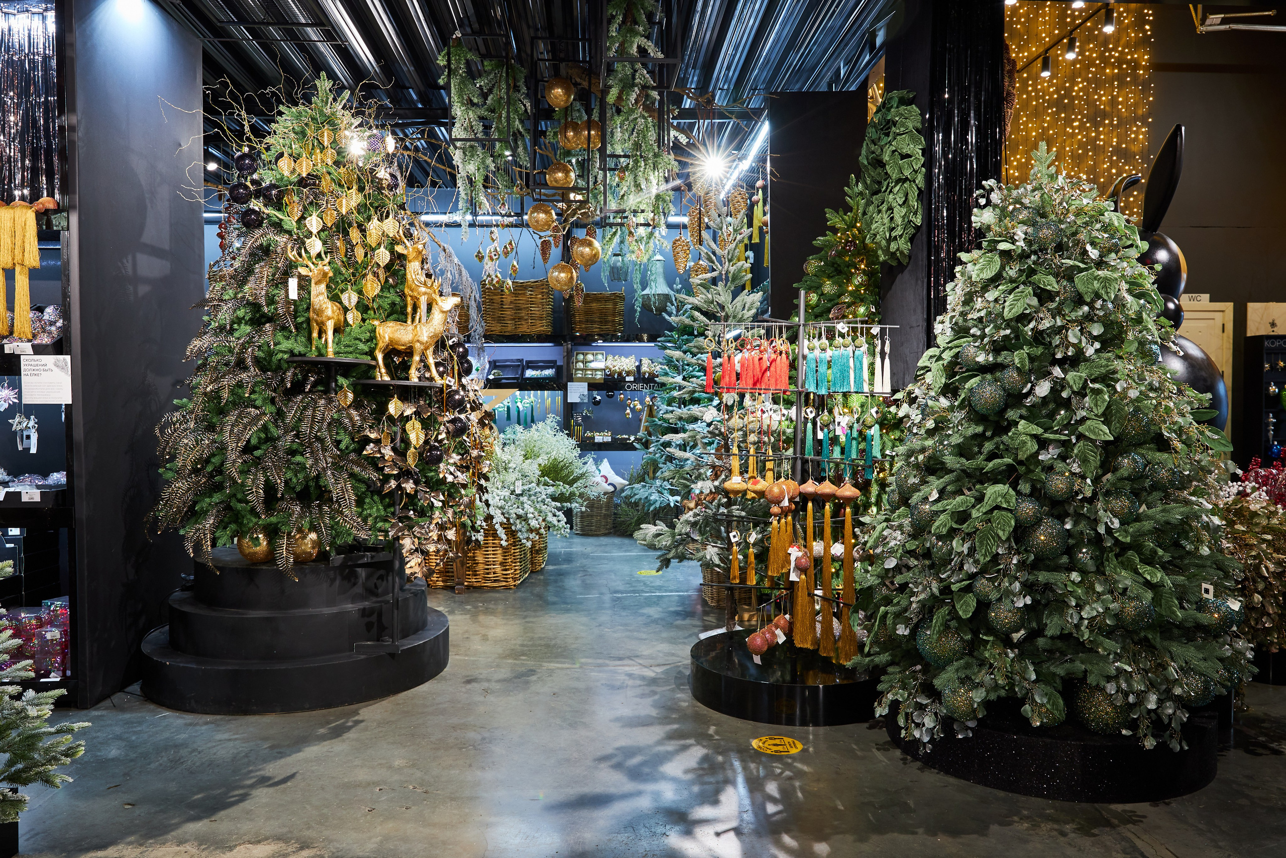 Best decor place. Фотограф Сергей Склемин