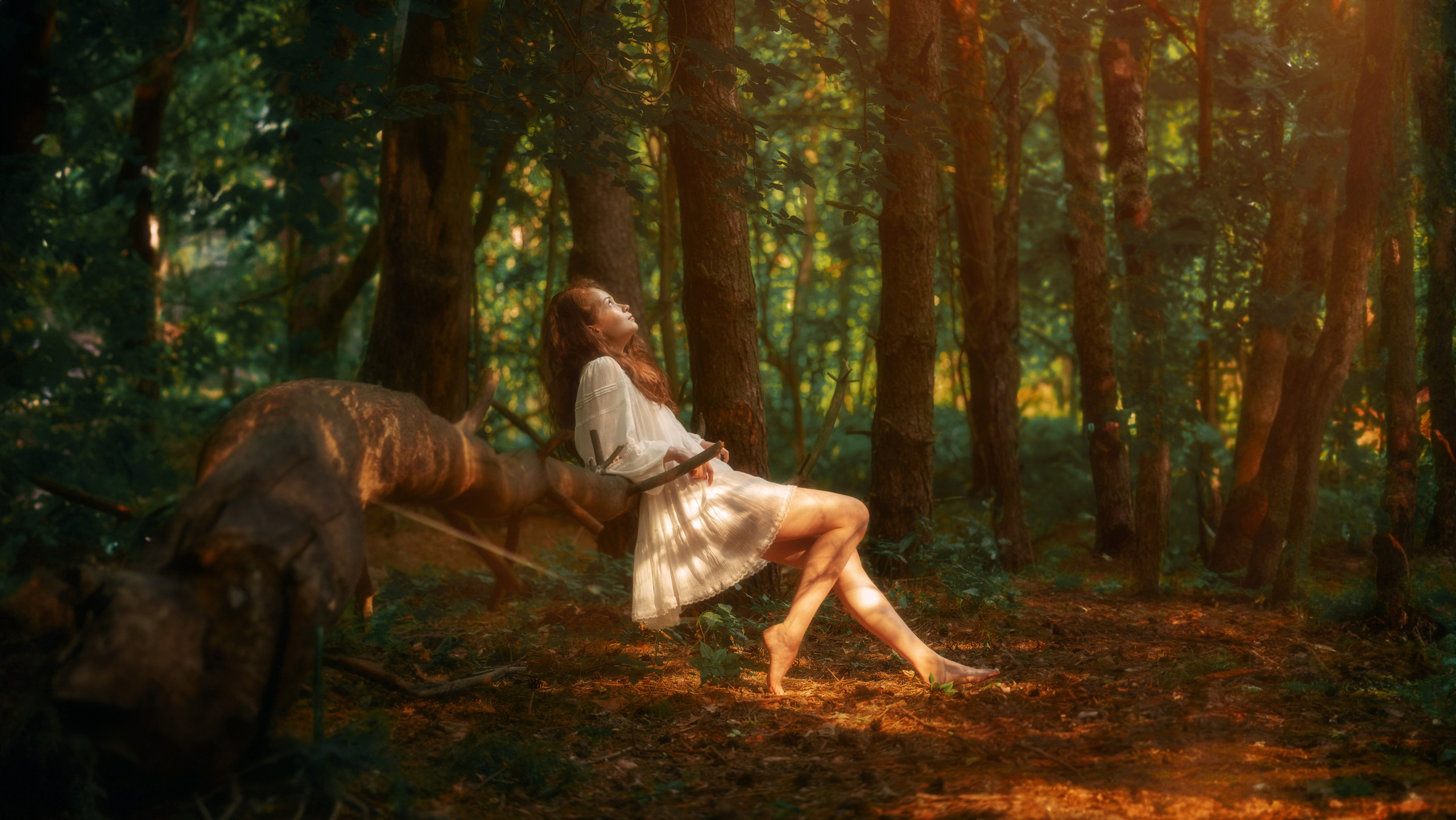 Владимир Рудченко — Фотограф из Казани