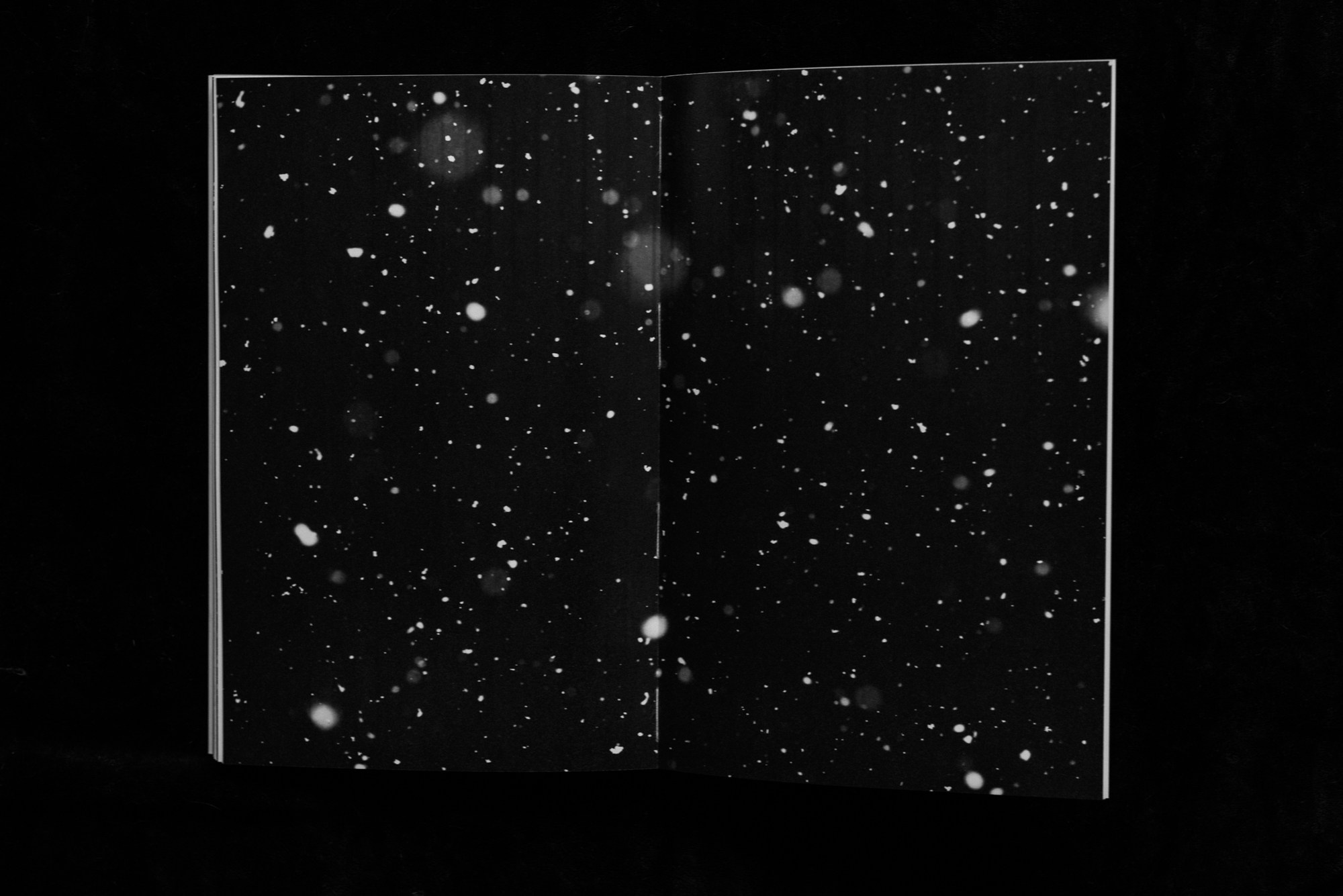 Цифровые тени слов. Художница Юлия Павлова