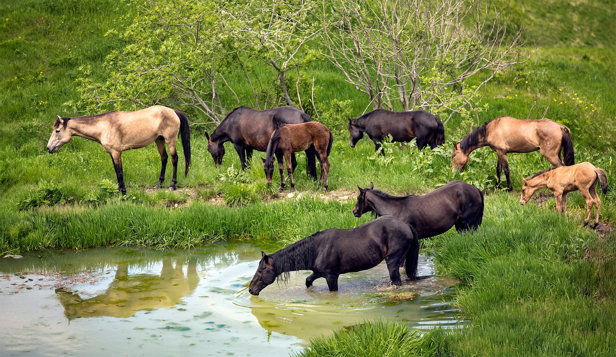 Северный Кавказ, Россия. Фотограф Владимир Остапенко