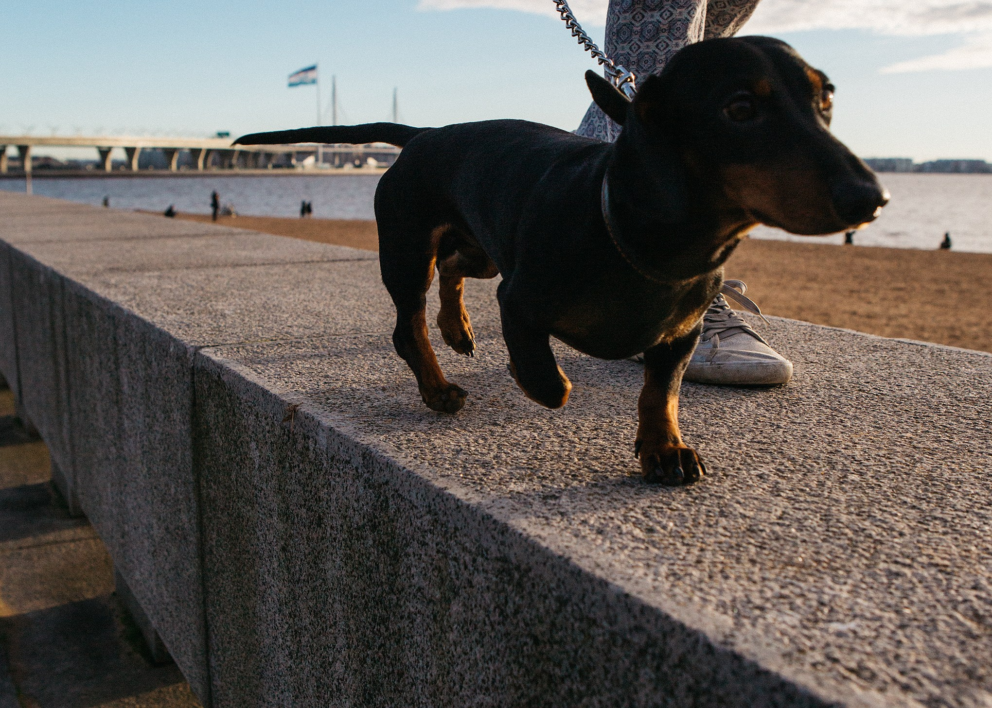 Лия и Чанги. Семейный и портретный фотограф в Санкт-Петербурге