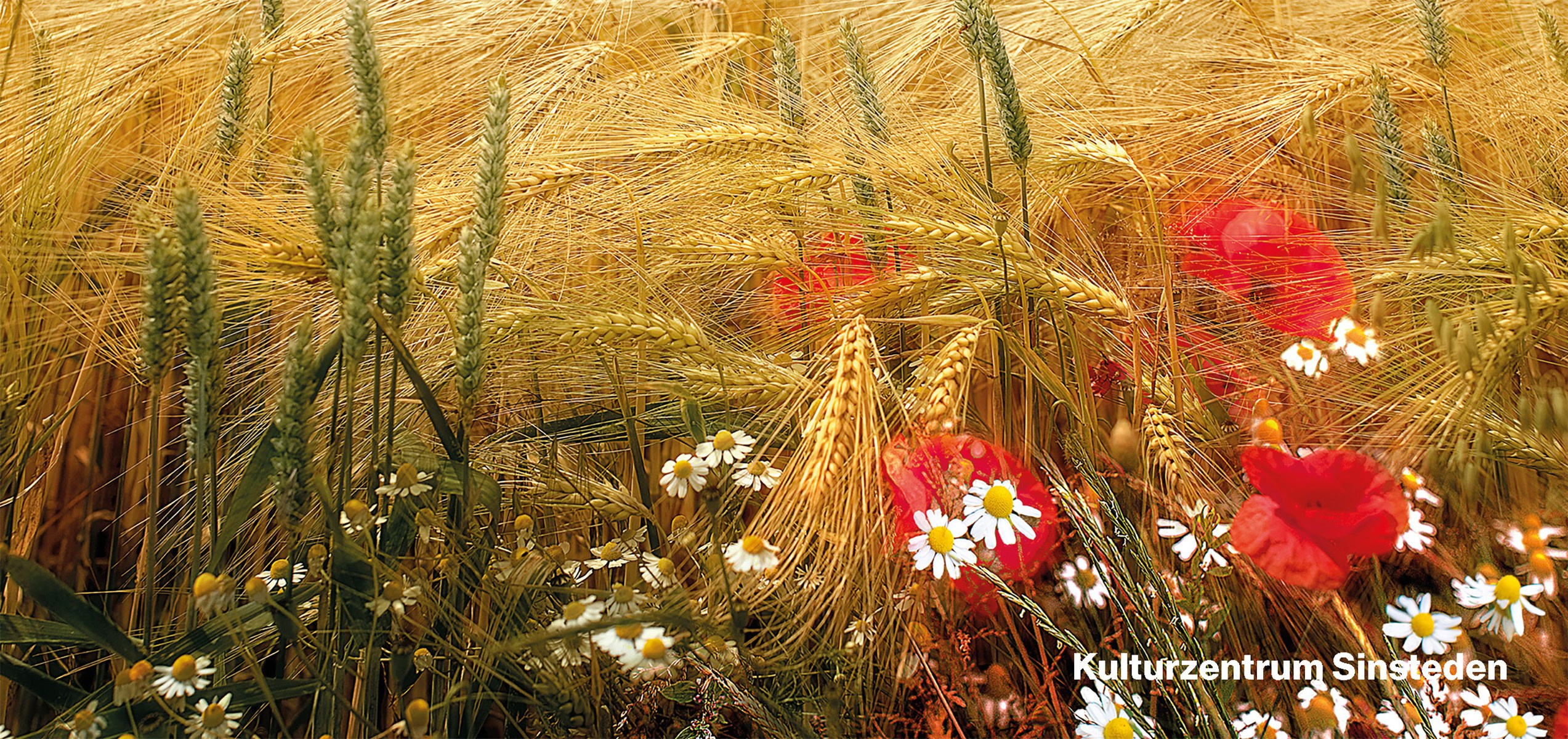 Group Exhibition “Licht — Land — Linse” in Sinsteden 12.06.25 — 14.09.25. Vasiliy Riabovol — Fine Art Photographer | Time, Space, and Silence