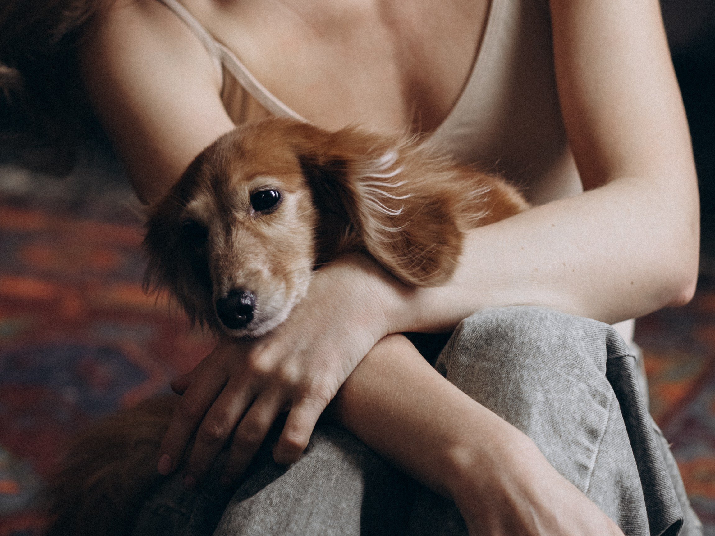 Лимон и Аня. Фотограф-анималист в Москве Кириллова Татьяна