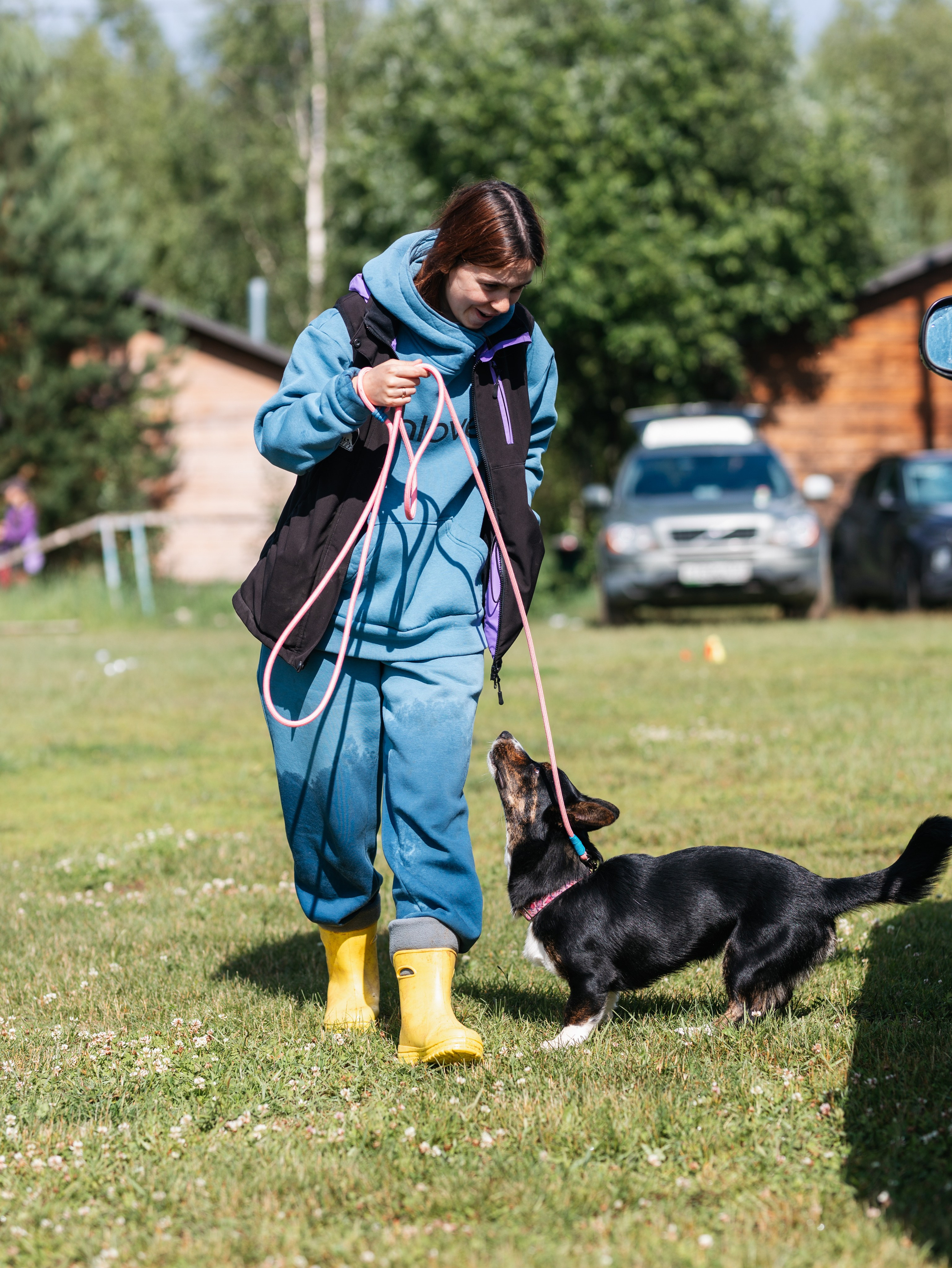 Лагерь ноузворк. Фотограф-анималист в Москве Кириллова Татьяна