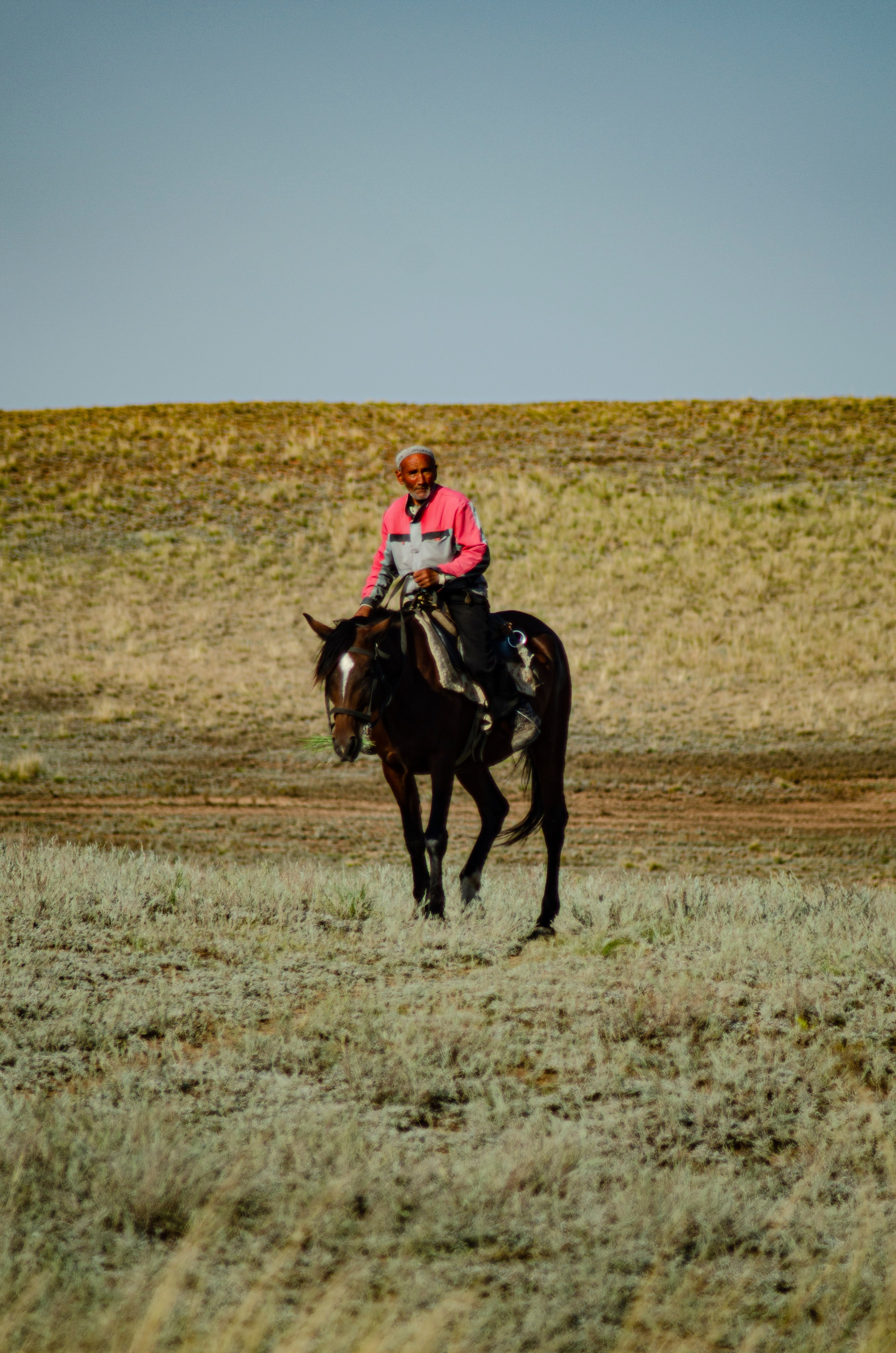 Птицы.Животные. Sreda fotoArt