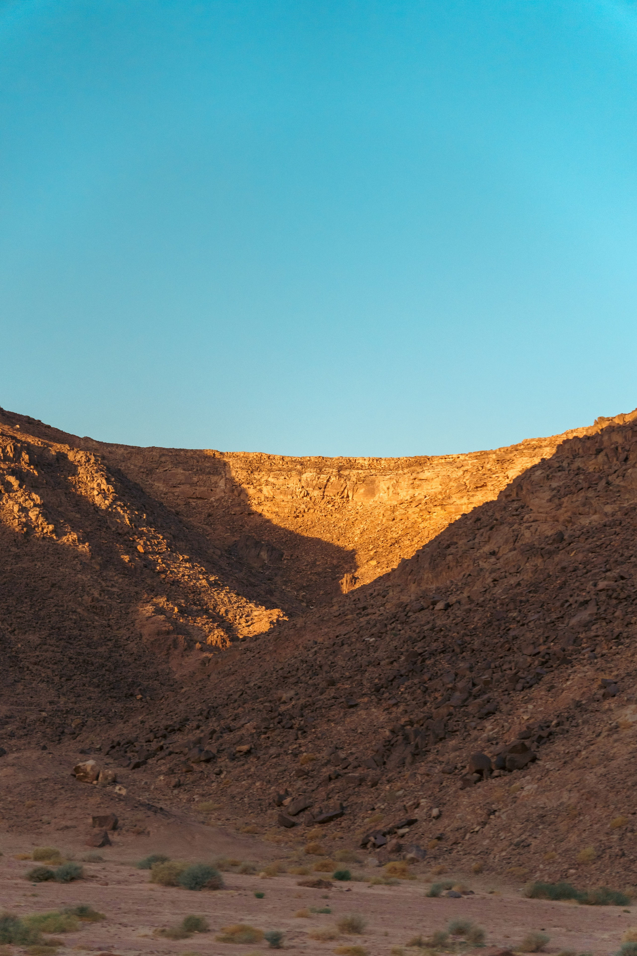 Природа. Фотограф в Санкт-Петербурге Ибрагимова Алина