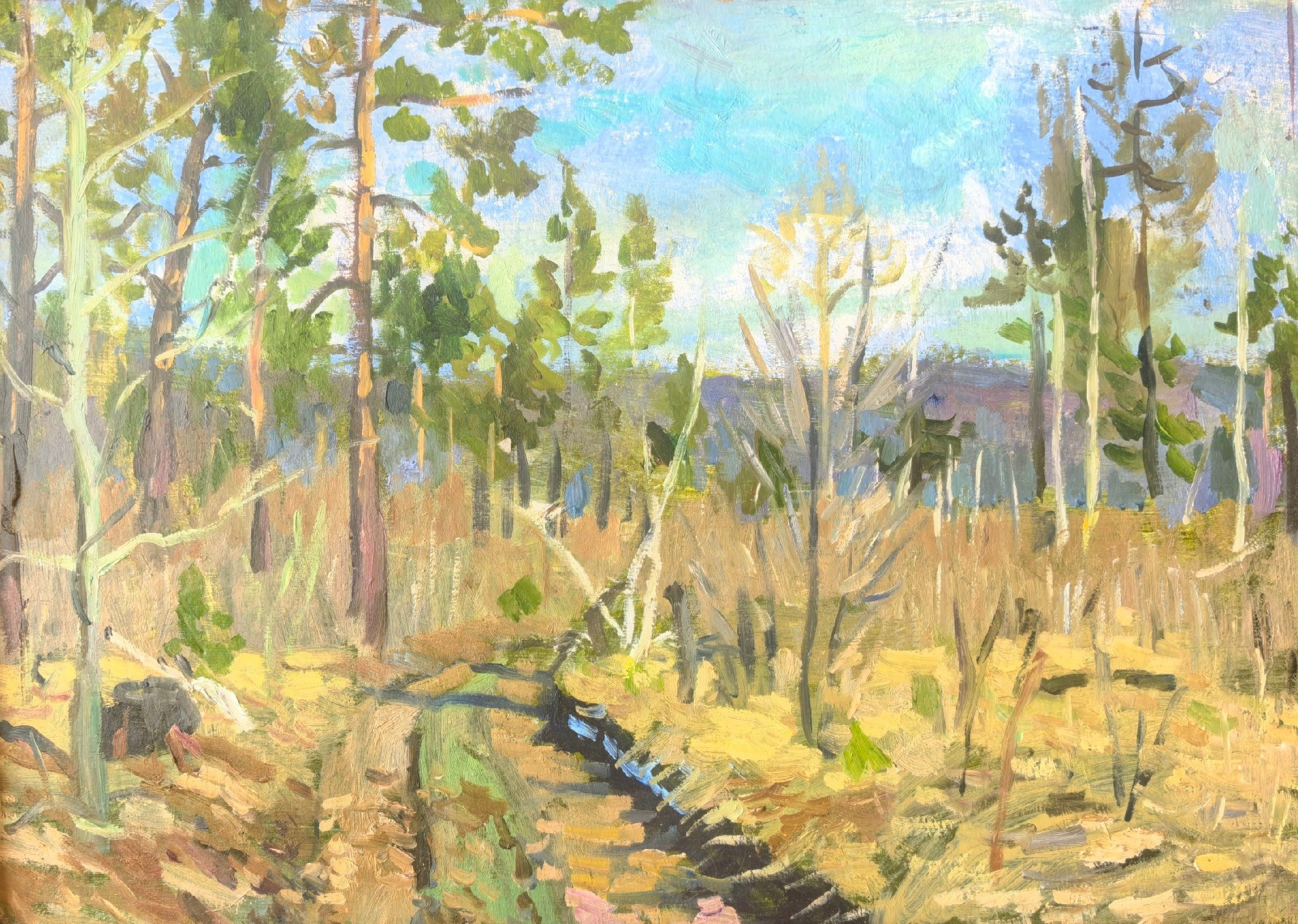 Этюды Камчатка. Художник и гид по Камчатке Евгений Чайкин