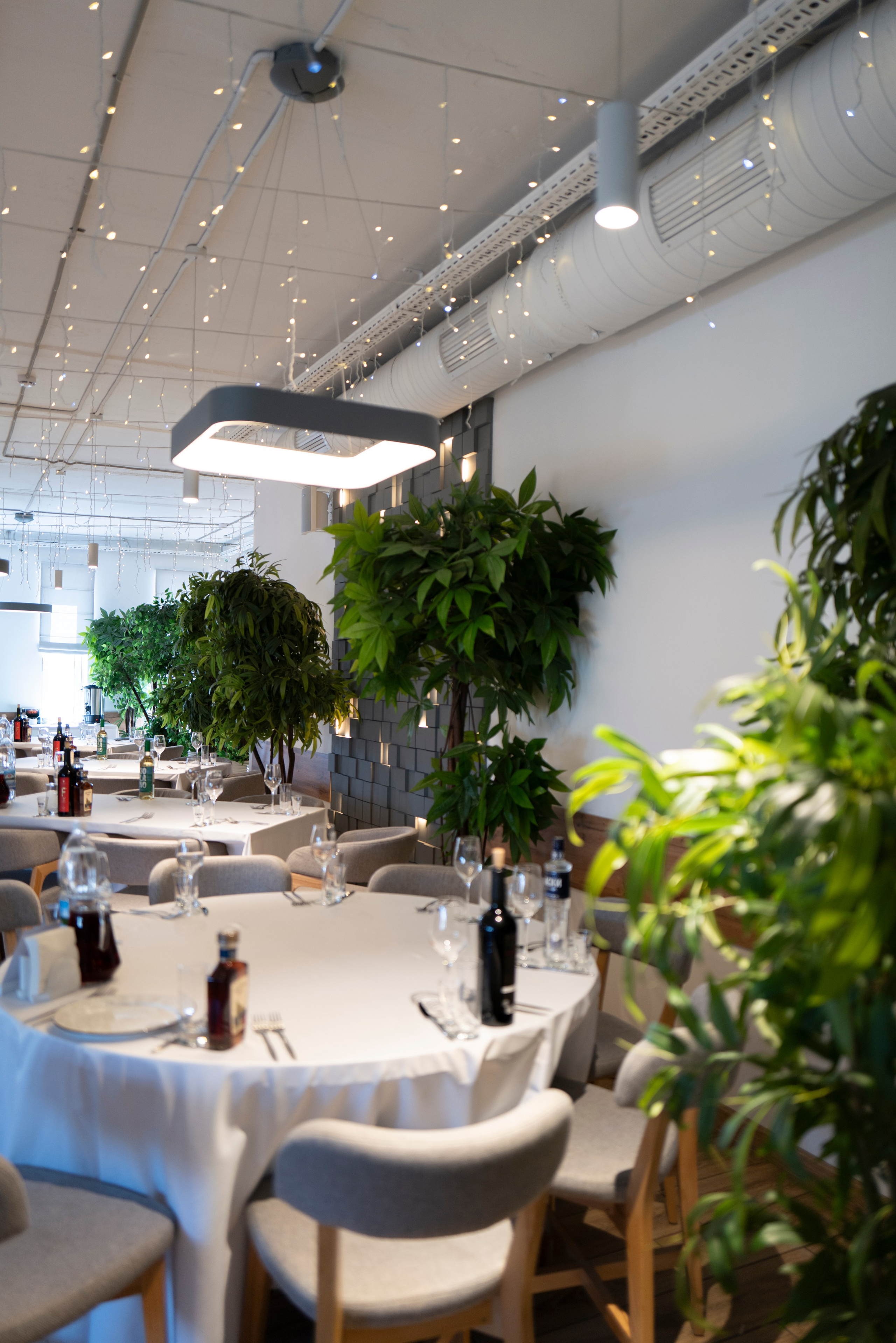 Рестораны. Maxon Magnusson