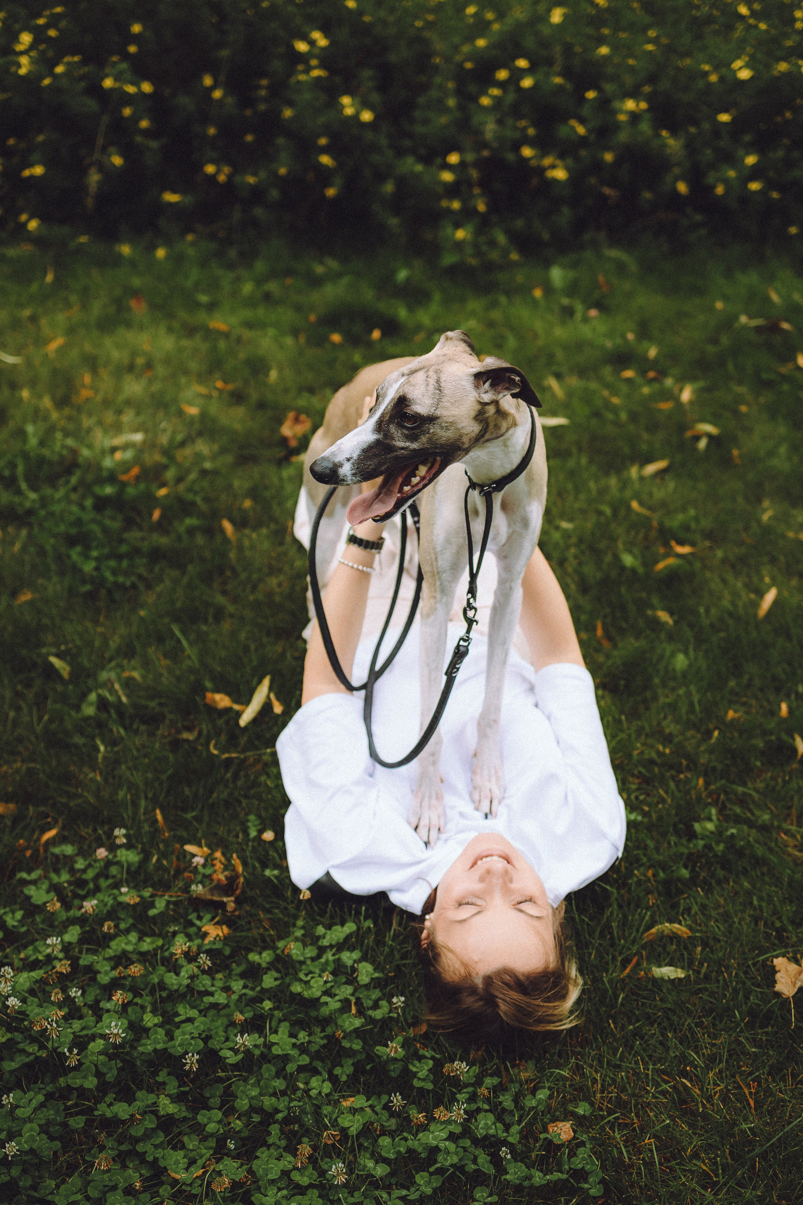 Ирина, Илья и Рик