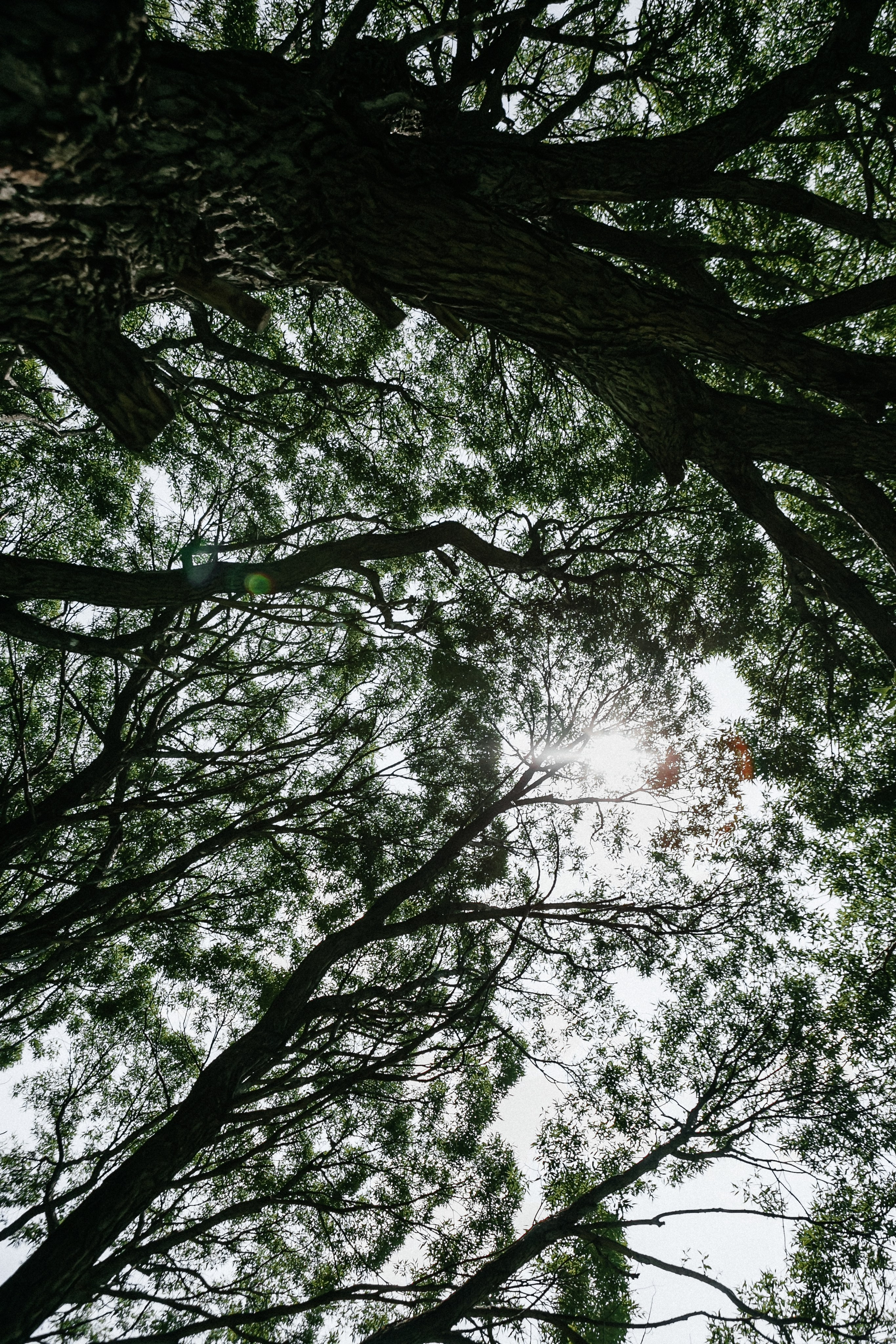 Анонс свадьбы Дмитрия и Виталии. Свадебный и семейный фотограф Елена Иштулкина