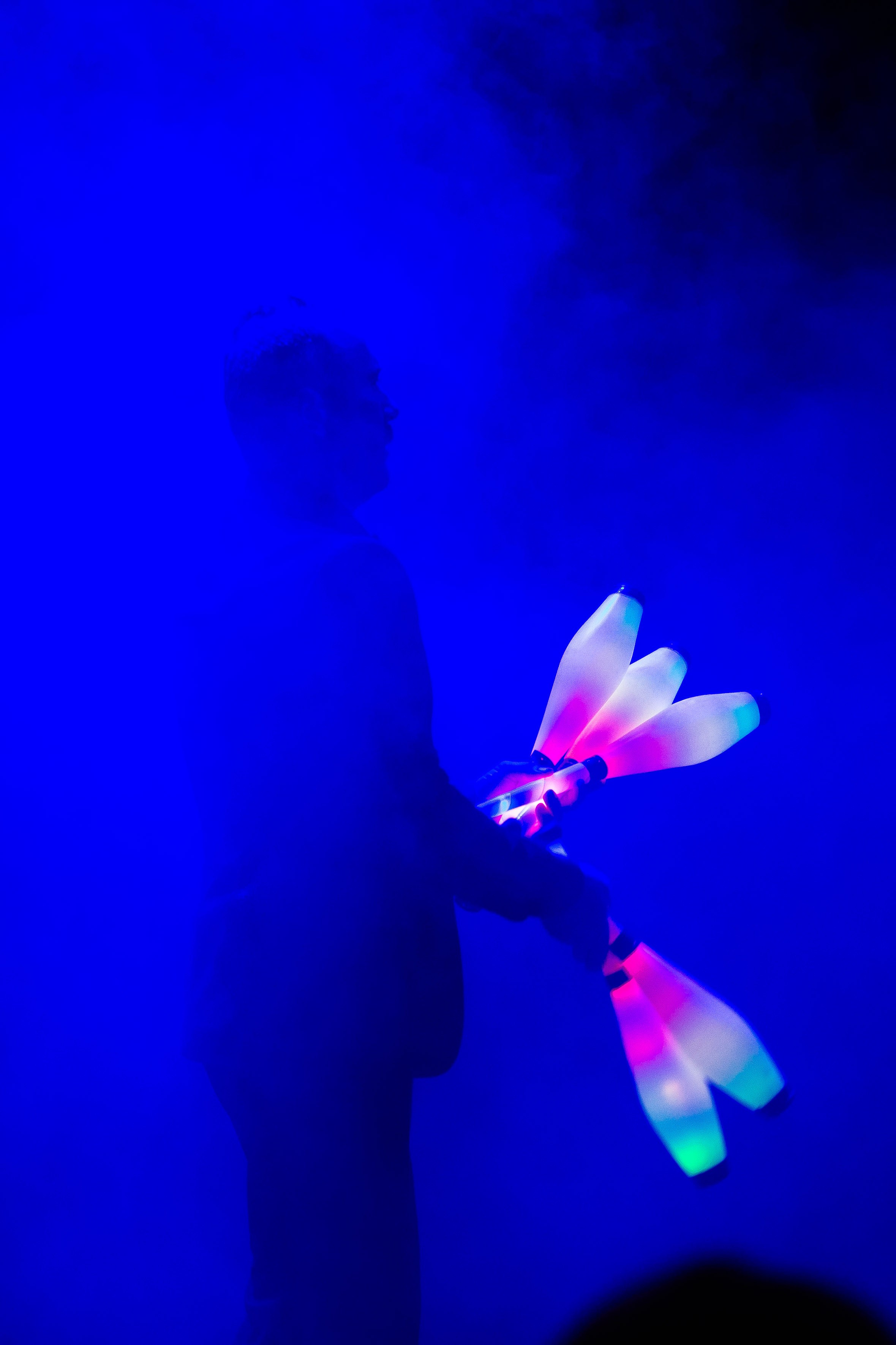 Цирковое шоу. Видеограф Добромыслов