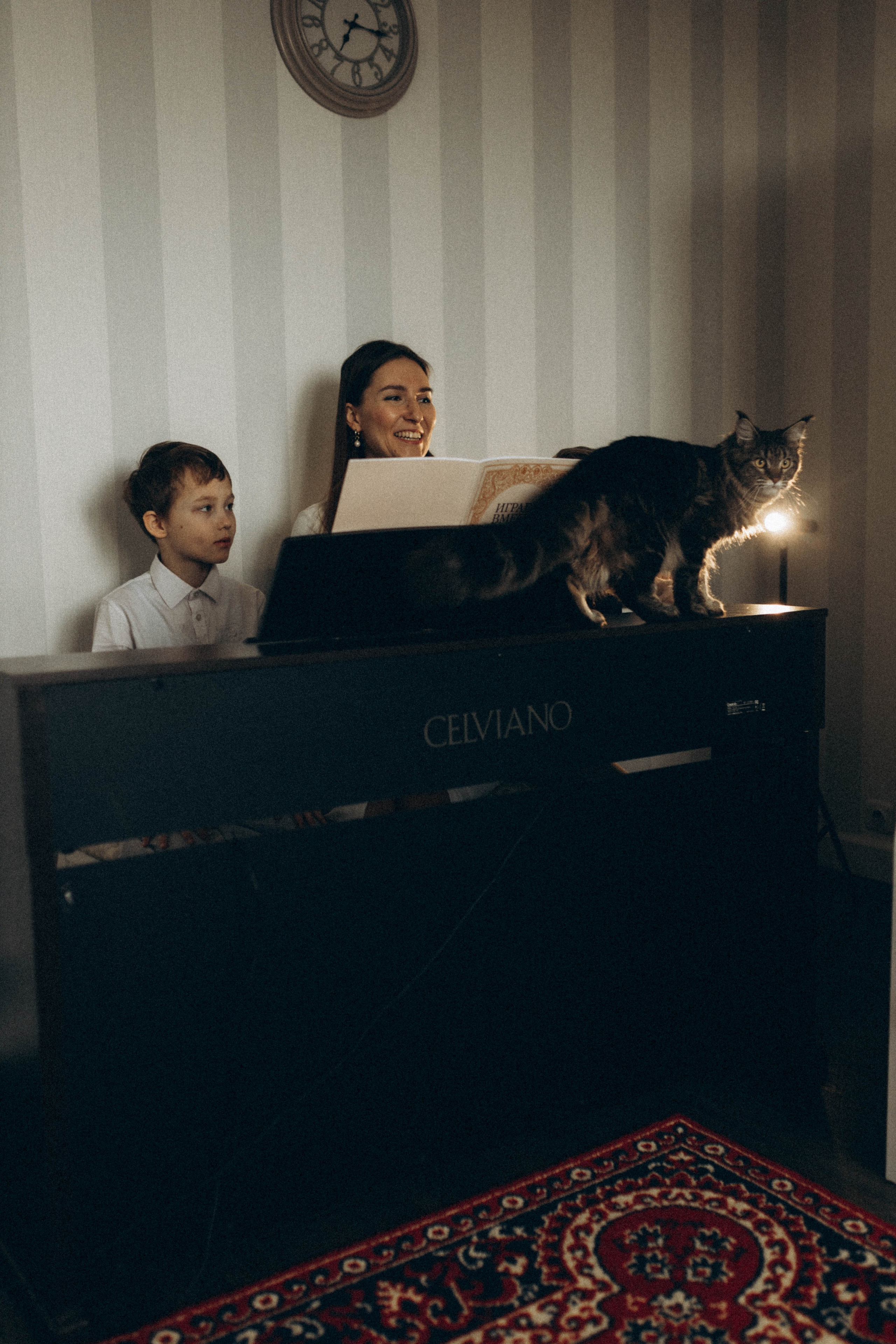 Преподаватель музыки