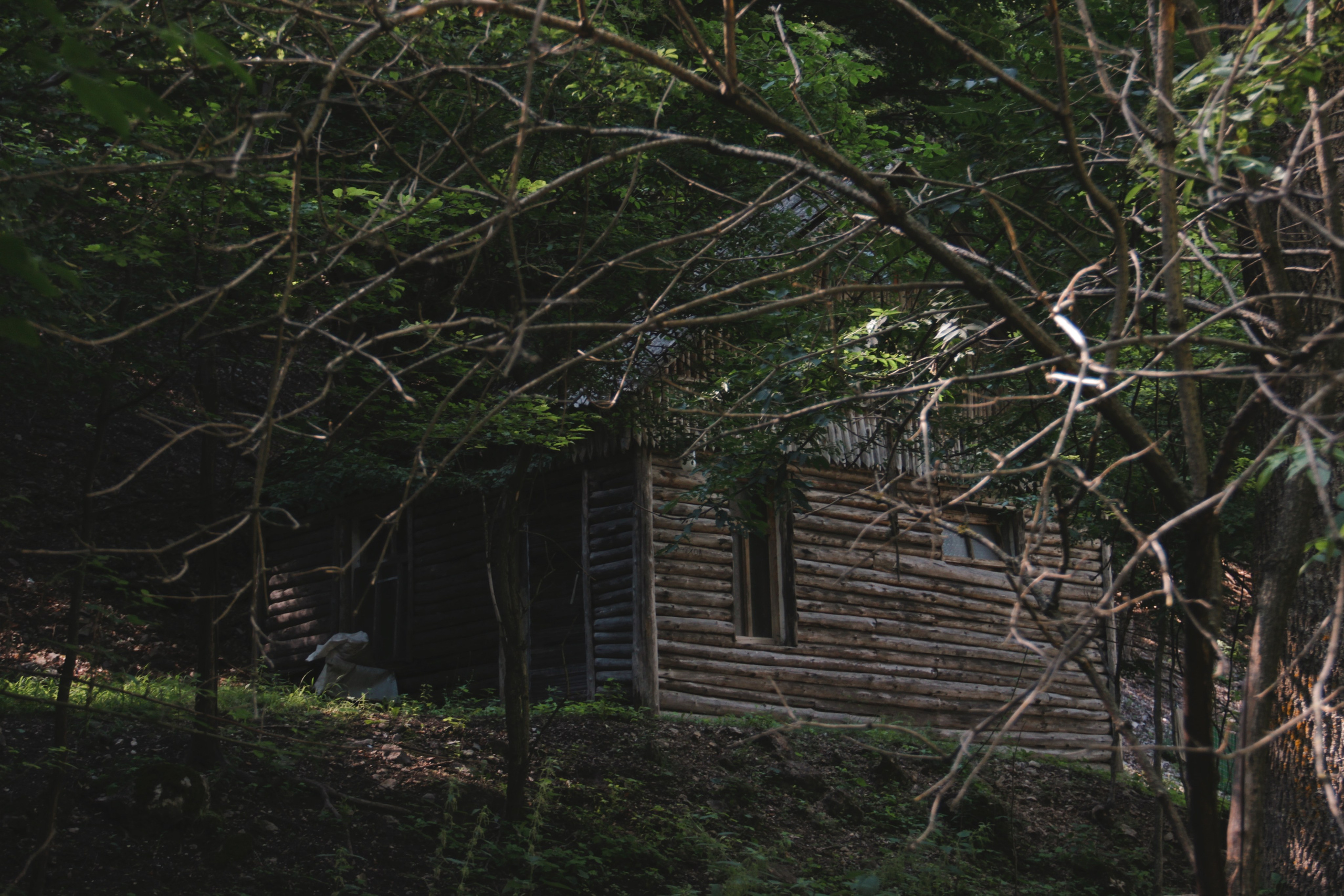 Крым. Фотограф и видеограф в Санкт-Петербурге