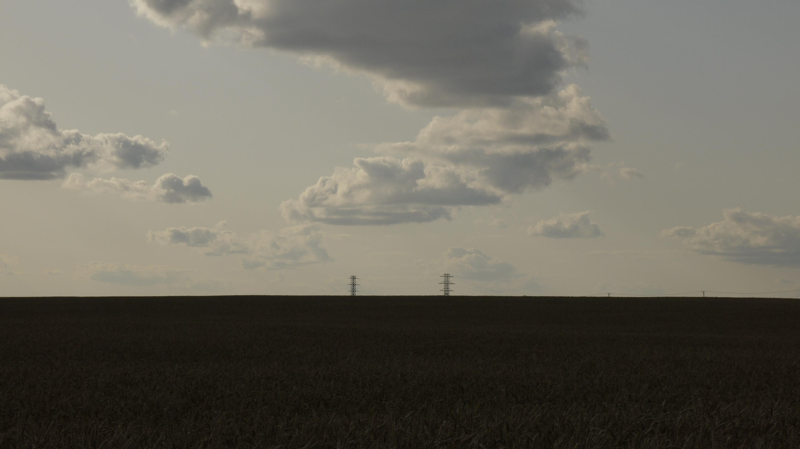 Этот прекрасный мир