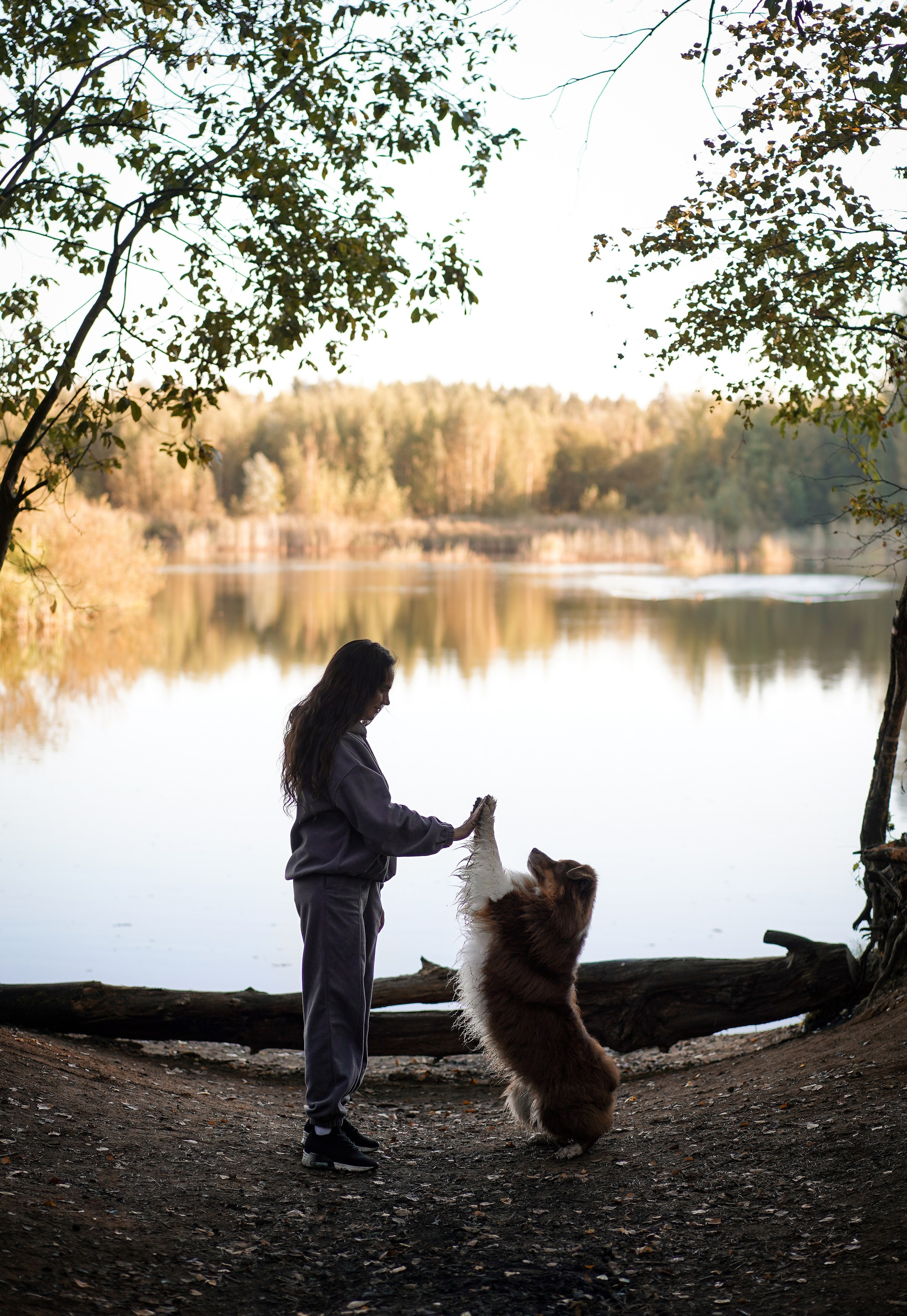Катя Сэнди и Рокки. Фотограф-анималист в Санкт-Петербурге Яна Мартынова