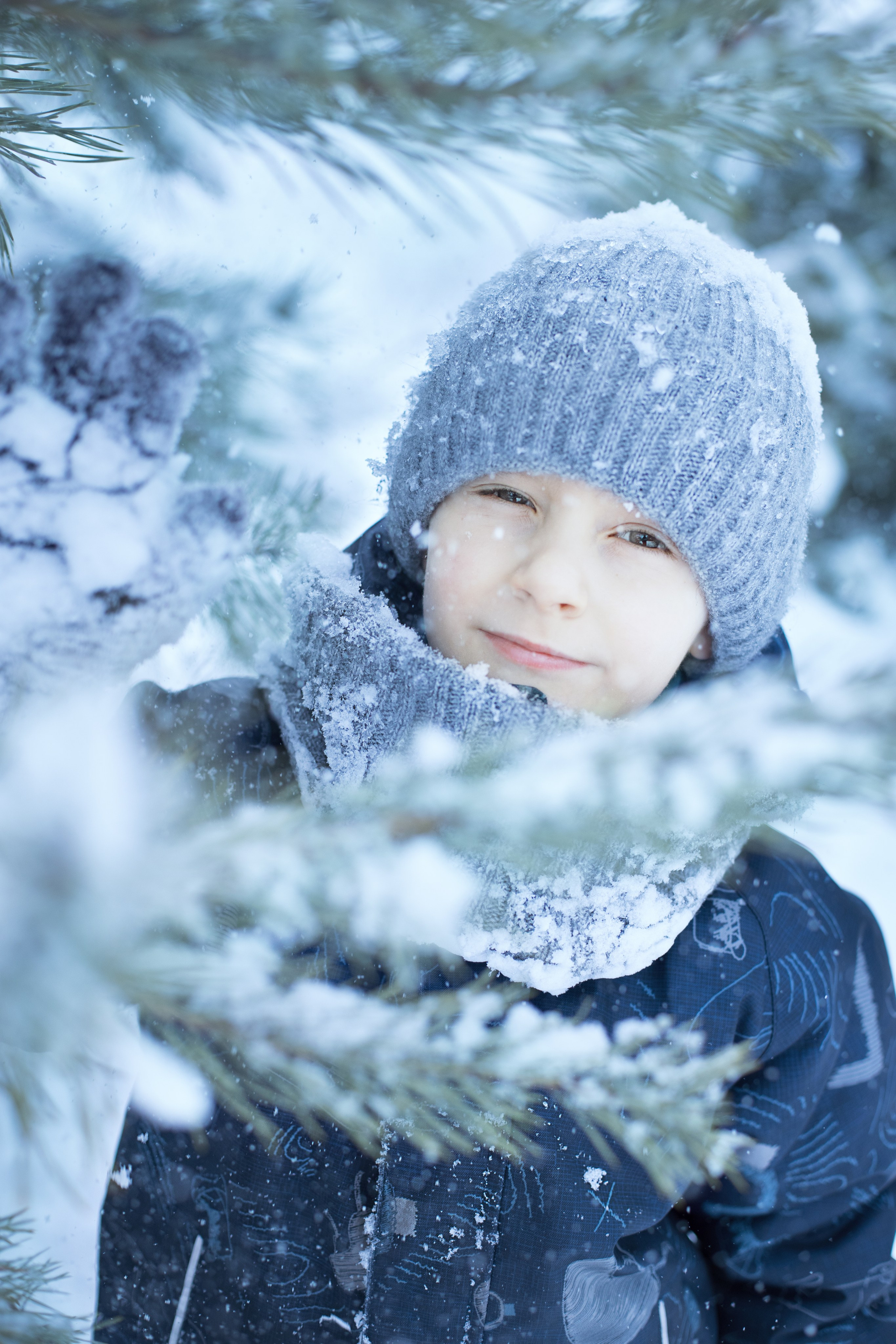 Портрет мальчика, который скидывает снег с сосновых веток