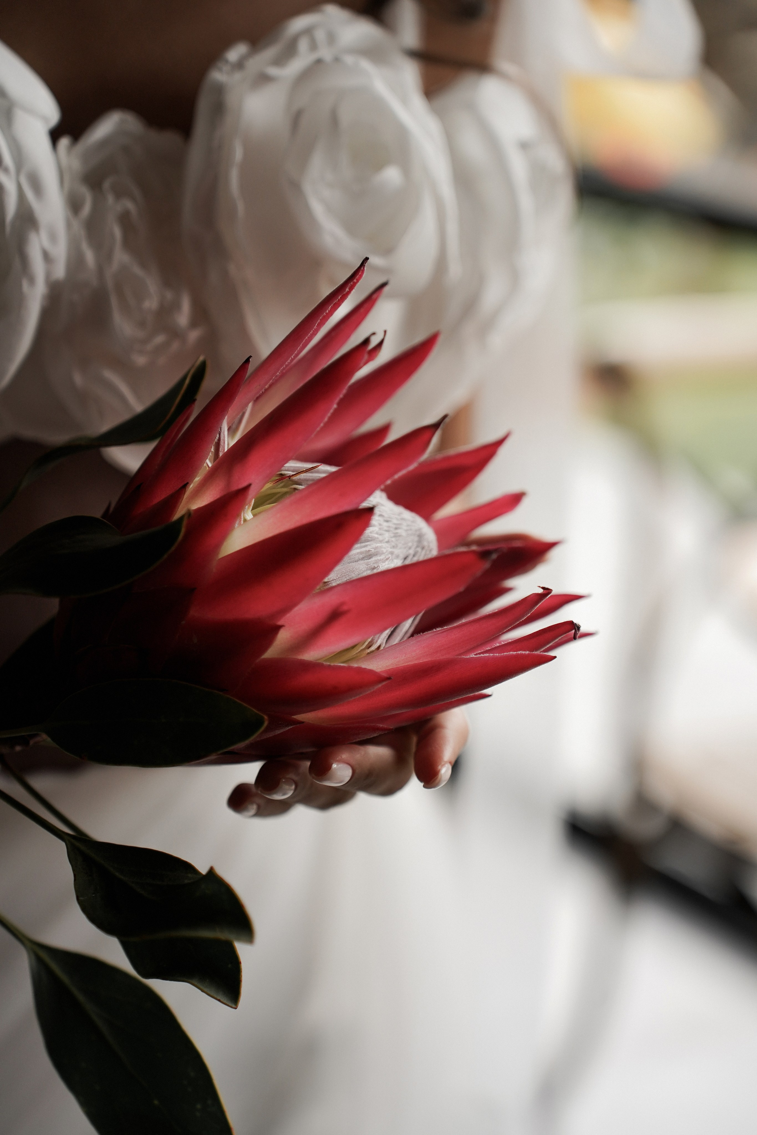 Свадебная история Нахид и Фидан. Свадебный фотограф Светлана Харина