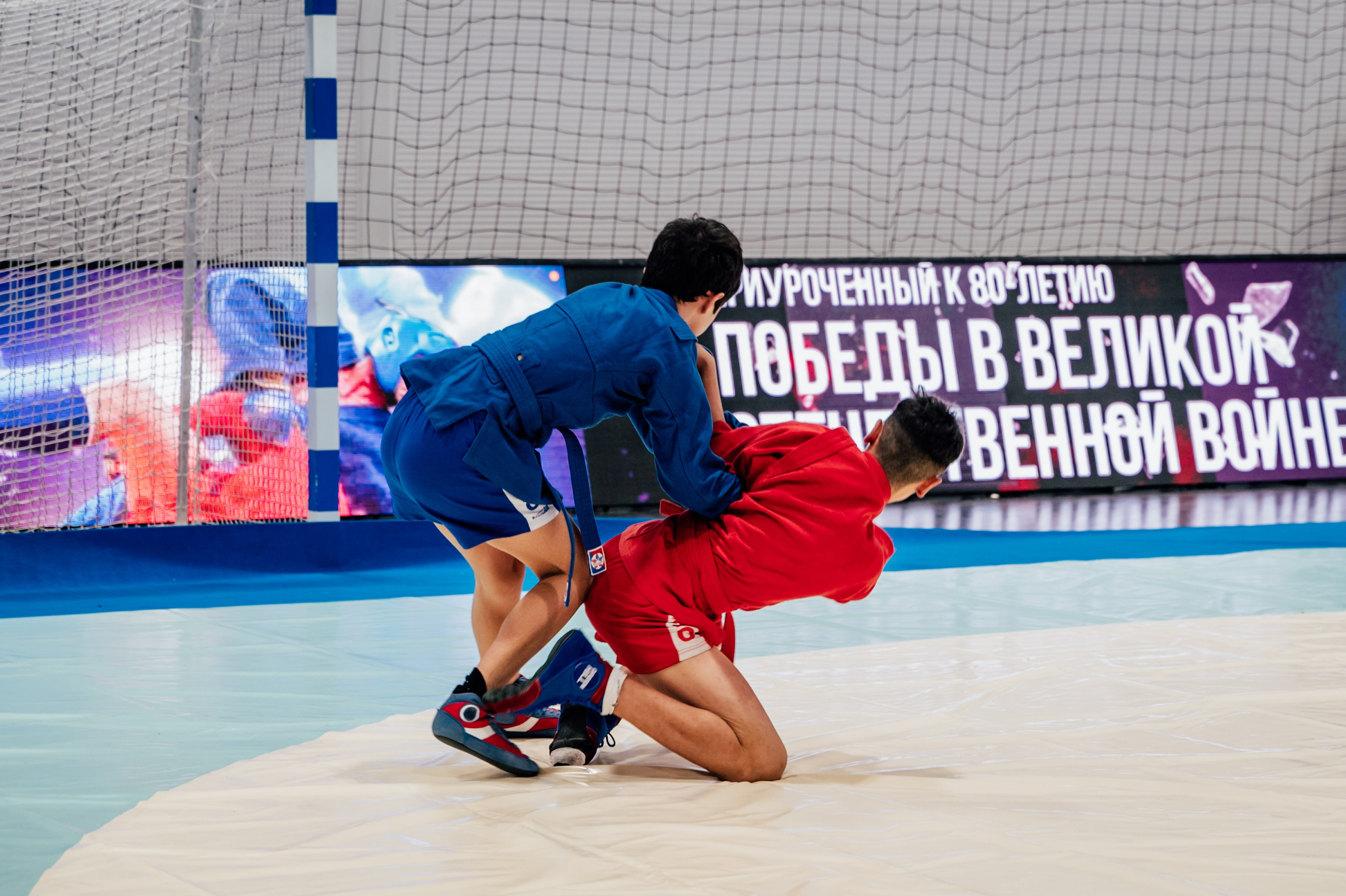 Турнир по самбо ЮФО