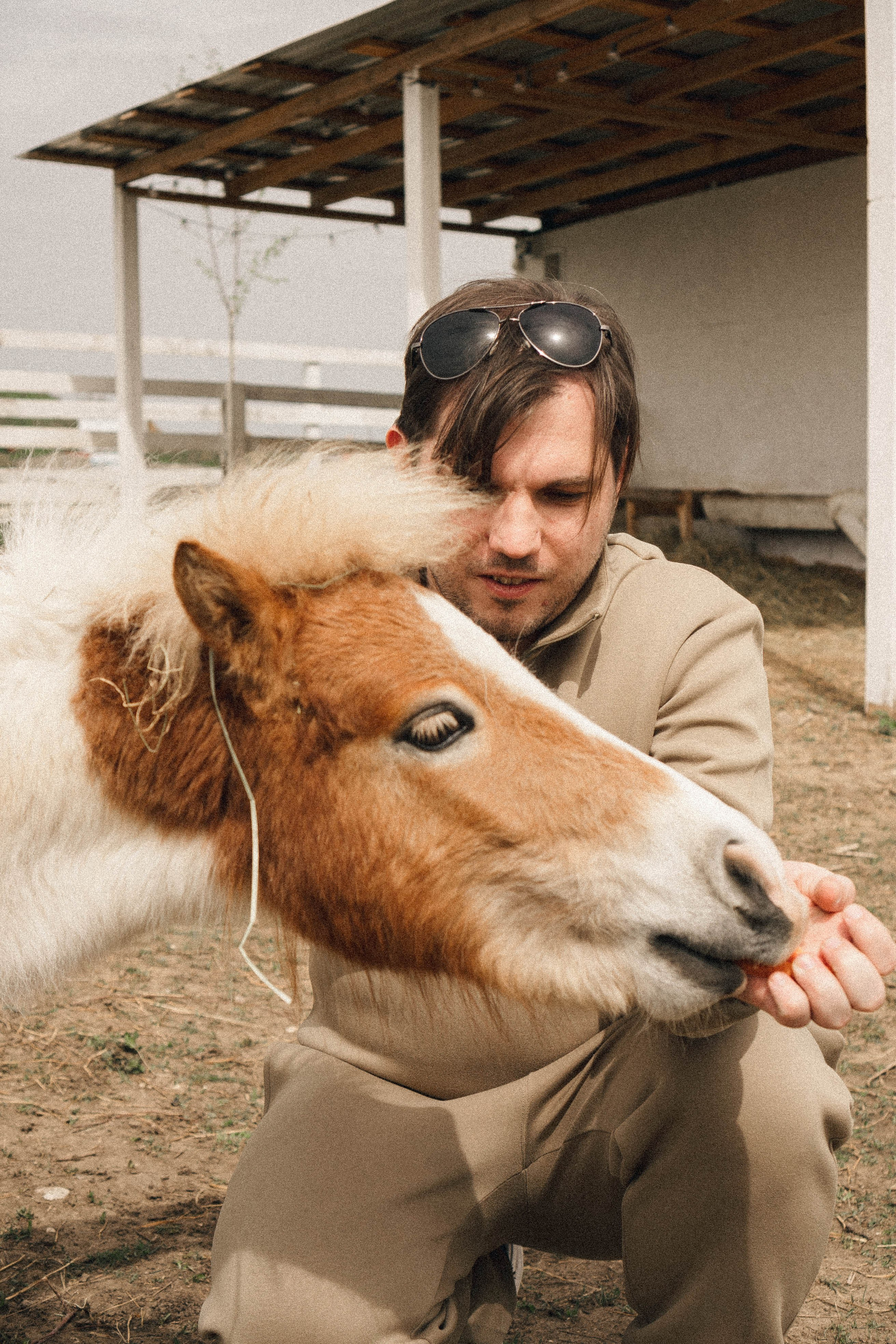 Ферма Альпак. Профессиональный фотограф, Санкт-Петербург — Виктория Богомолова